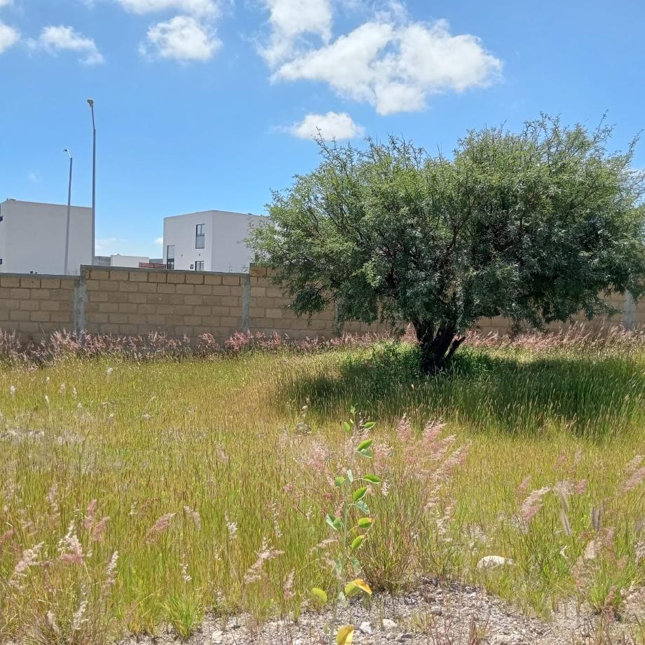 Querétaro, Querétaro, 76226, Mexico, 1 Bedroom Bedrooms, ,Residential,For Sale,1940057