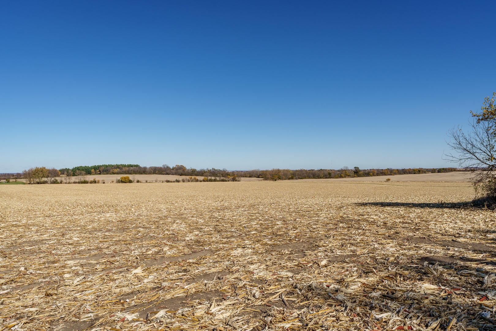 Belvidere, Illinois, 61008, United States, ,Residential,For Sale,1815482