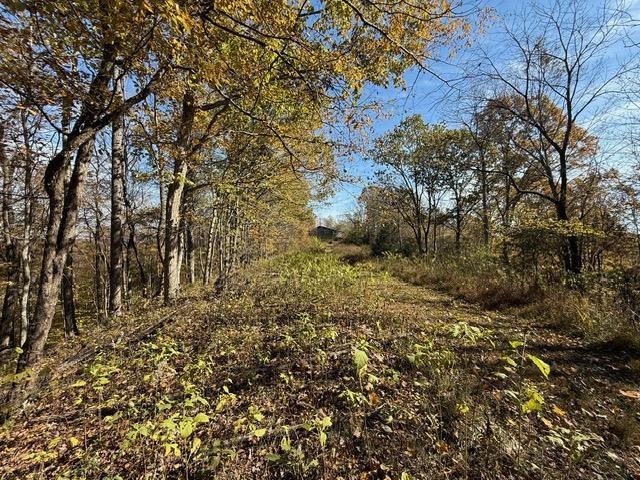 Willow Shade, Kentucky, 42166, United States, 3 Bedrooms Bedrooms, ,2 BathroomsBathrooms,Residential,For Sale,1991903