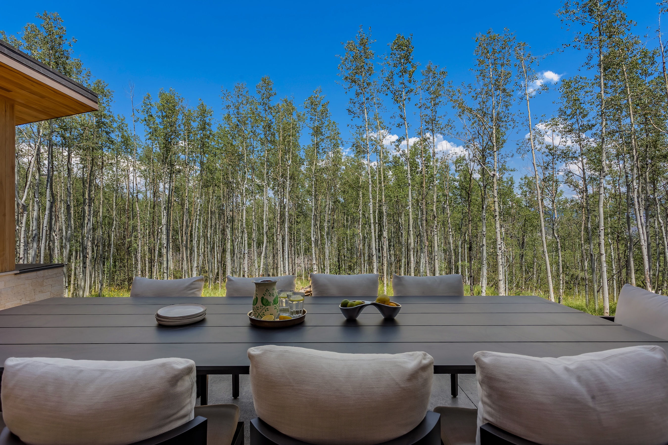  231 Maple Ridge Lane, Snowmass Village, CO 81615 - 物件實景