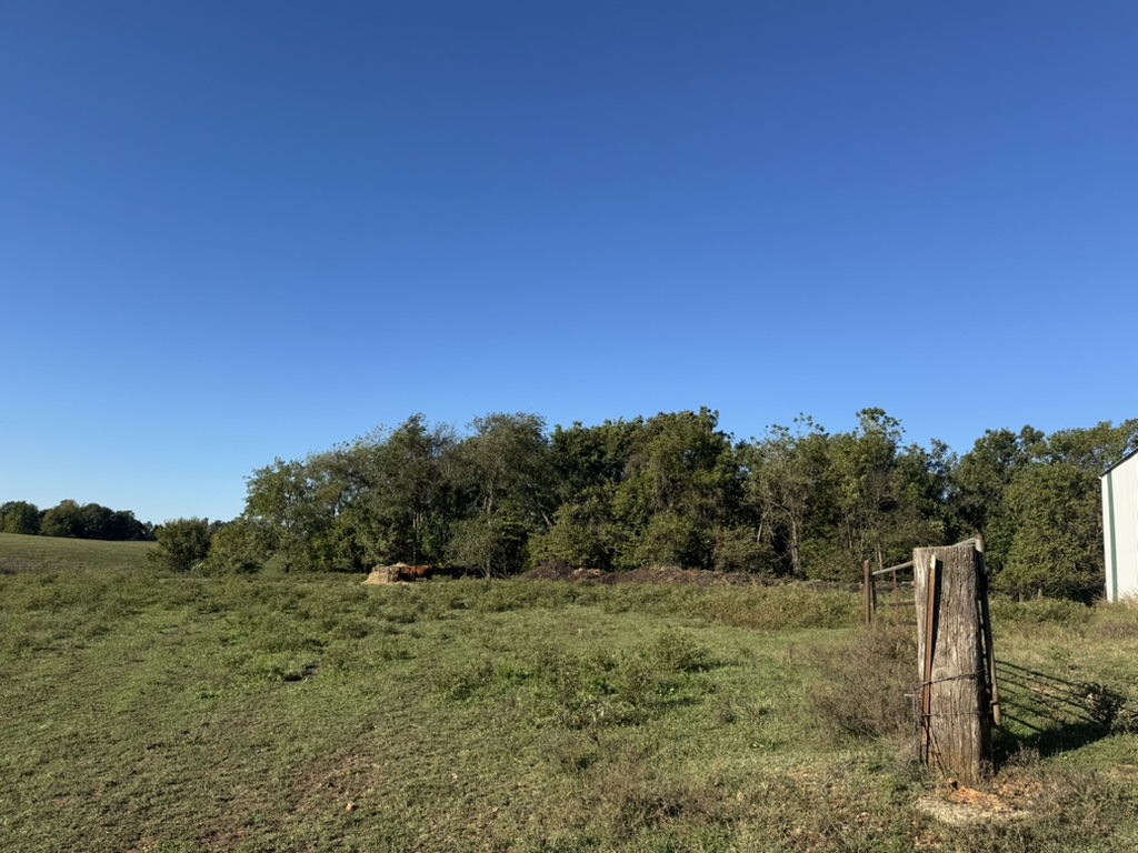 Pierce City, Missouri, 65723, United States, 2 Bedrooms Bedrooms, ,2 BathroomsBathrooms,Residential,For Sale,1987385