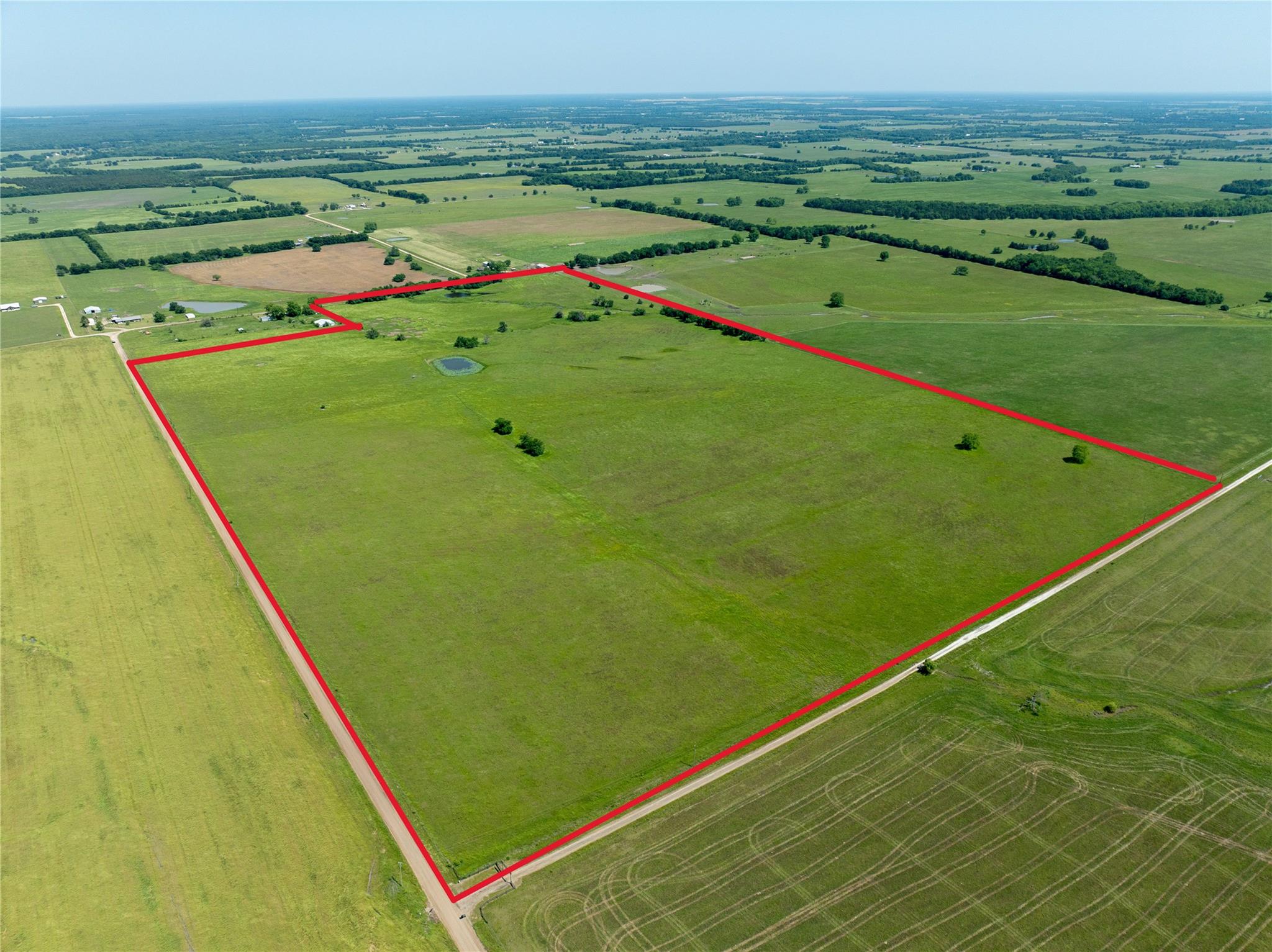 Blossom, Texas, 75416, United States, ,Residential,For Sale,1863967