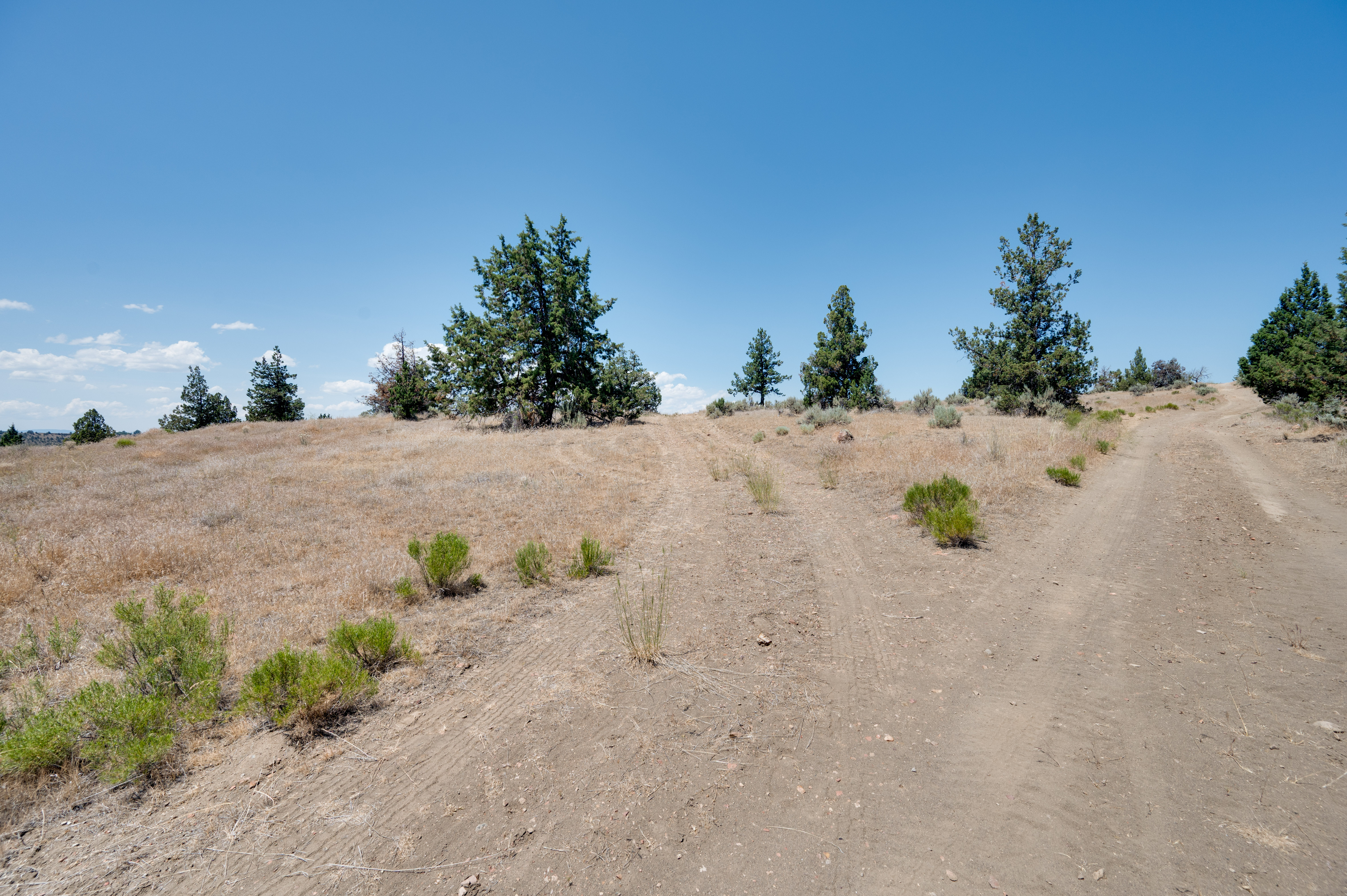 Madras, Oregon, 97741, United States, ,Land,For Sale,1874137