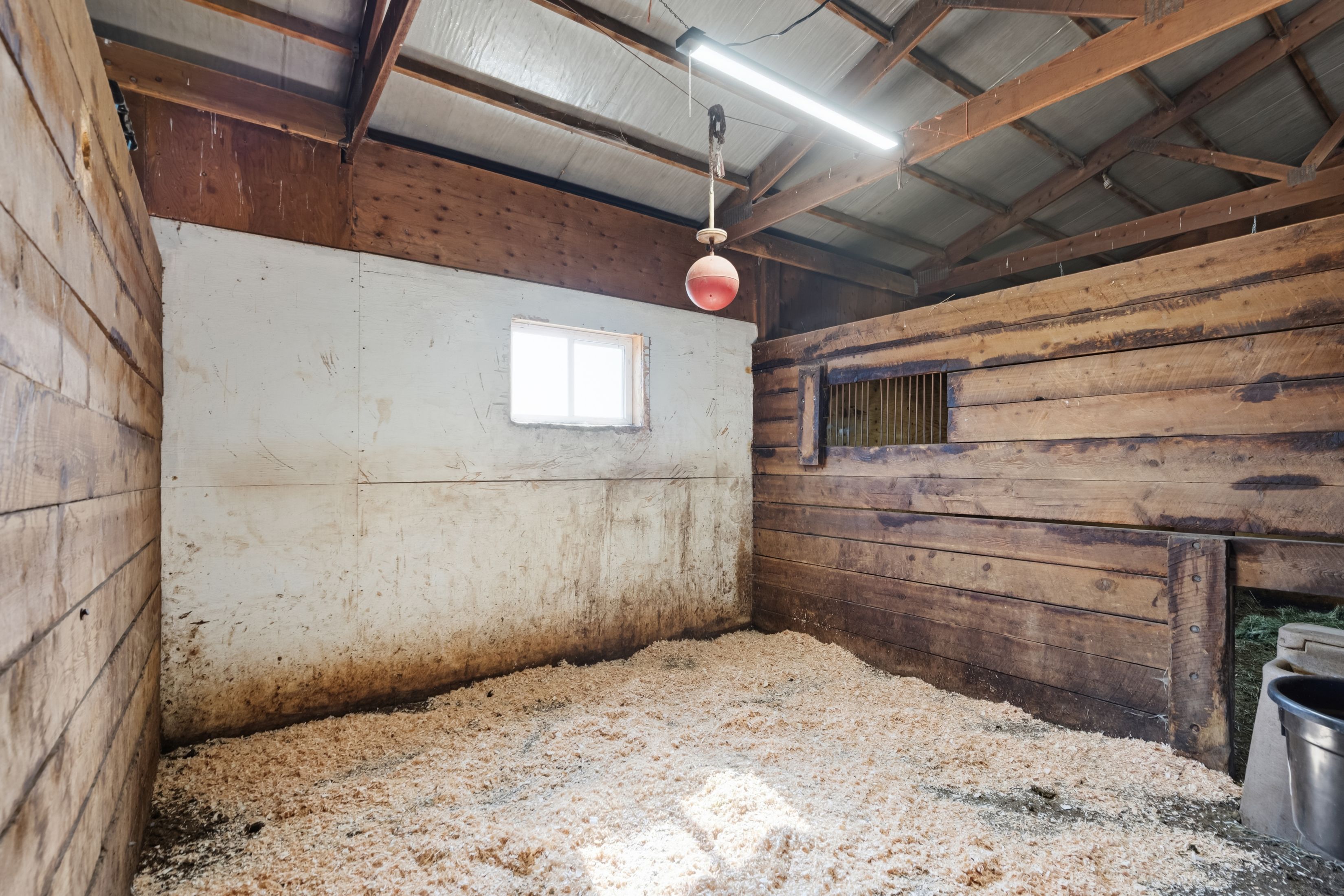  Exceptional Equestrian Property on 20 Acres - 物件實景