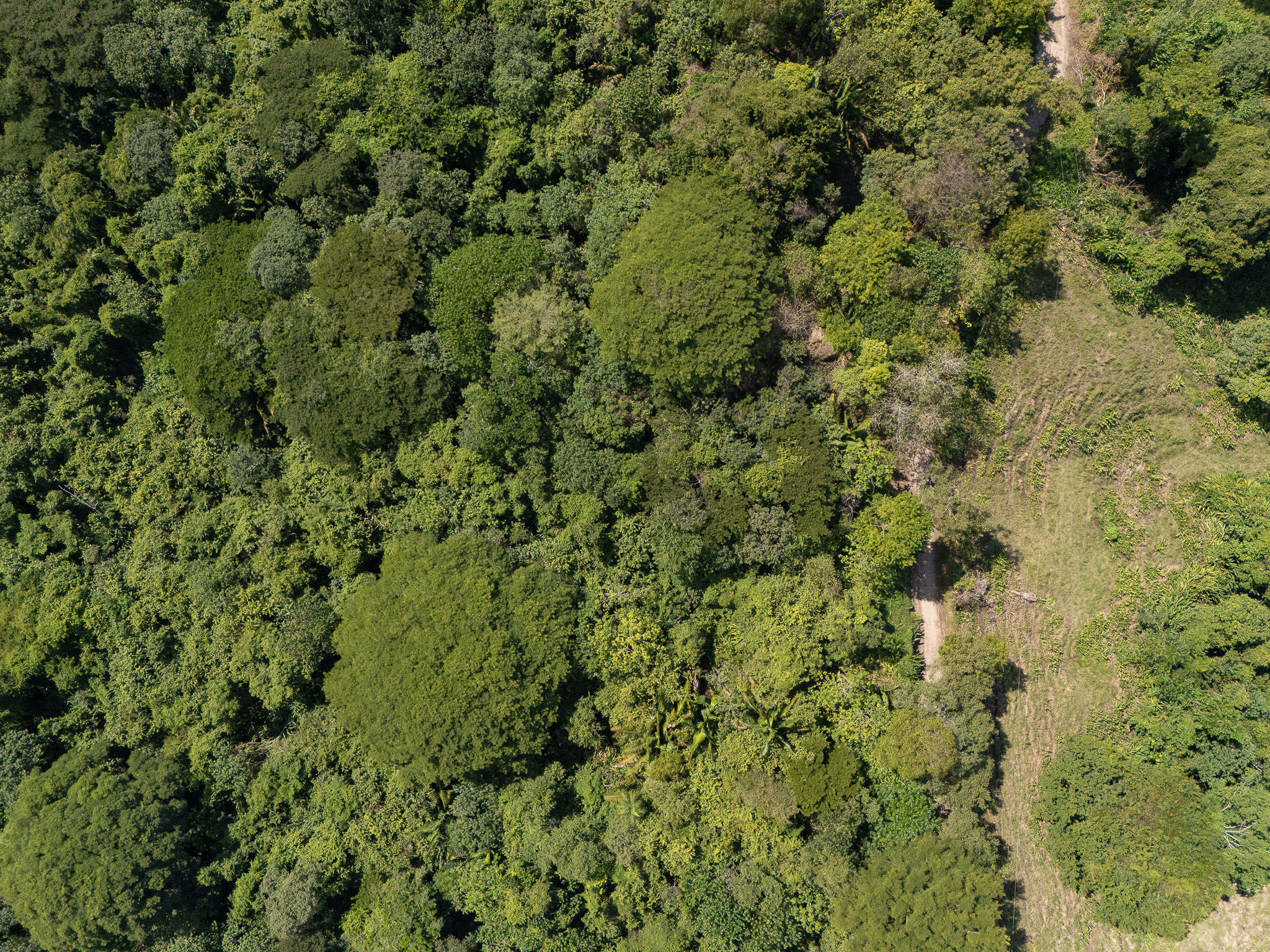 Cabuya, Puntarenas, 60111, CR, ,Land,For Sale,1999062