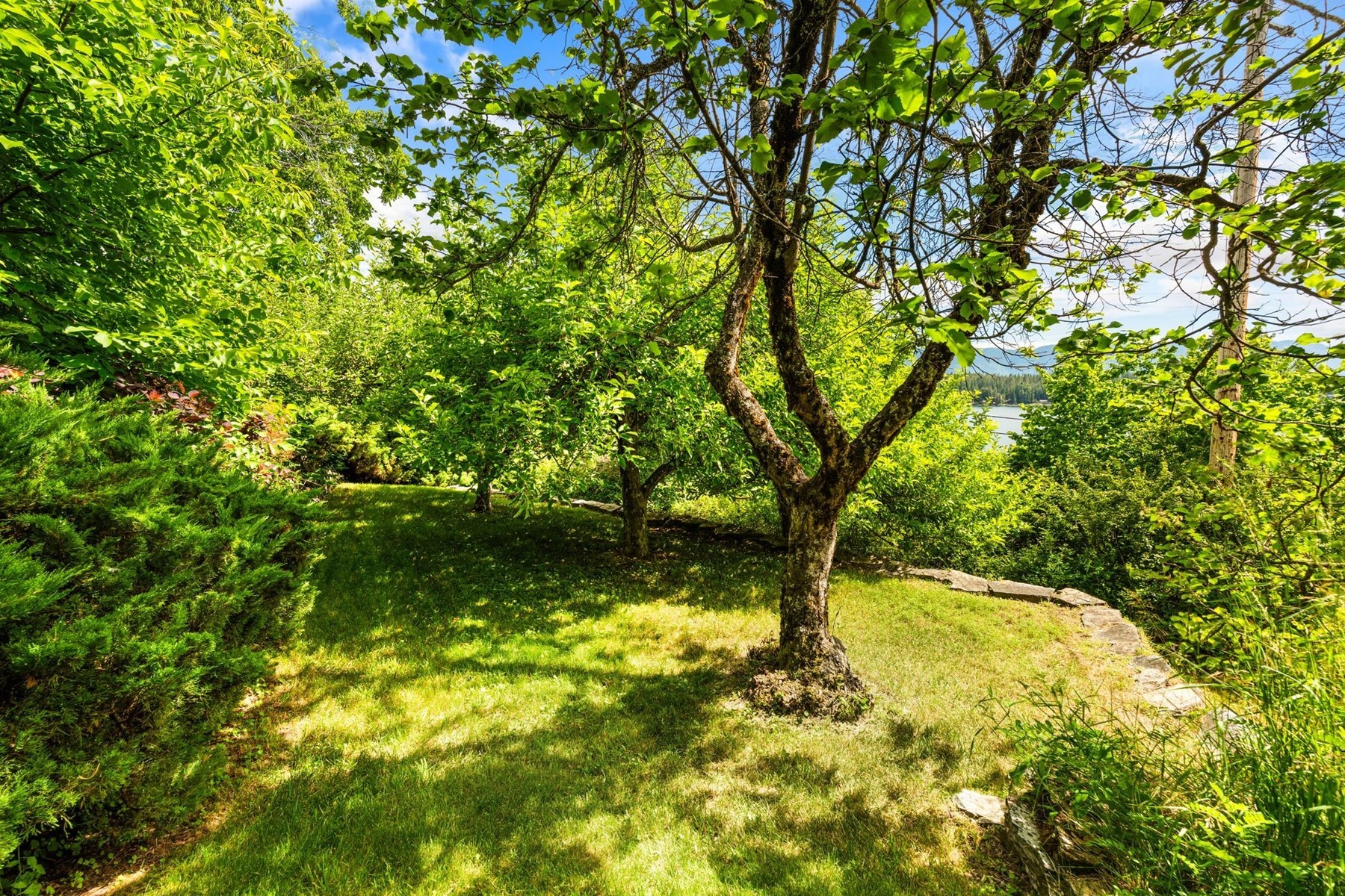  523 Big Hill - 物件實景