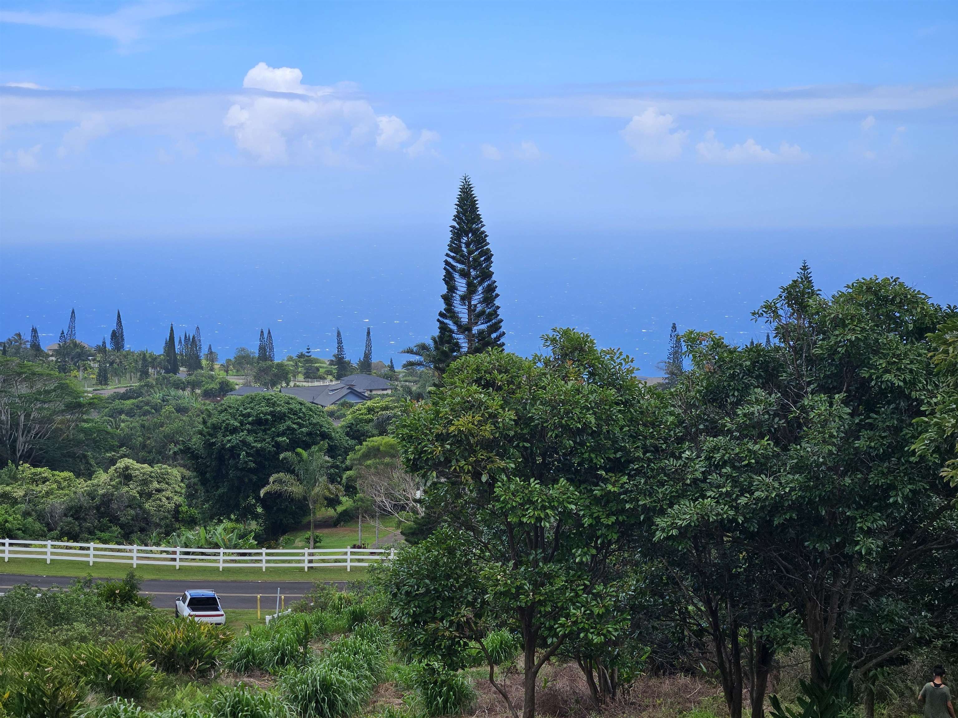 63 Lahaole Pl, Wailuku, Hawaii, 96793, United States, ,Land,For Sale,63 Lahaole Pl,1676772