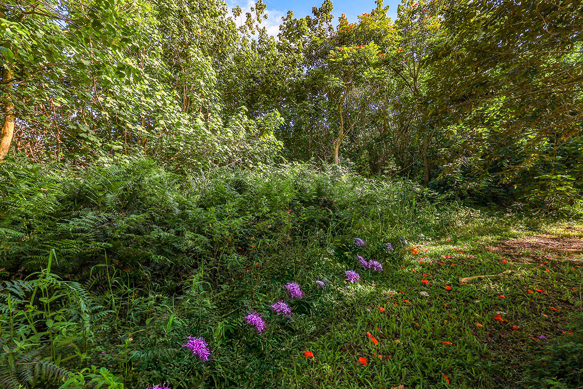 6828-B KUAMOO RD 2, Kapaa, Hawaii, 96746, United States, ,Land,For Sale,6828-B KUAMOO RD 2,1672725