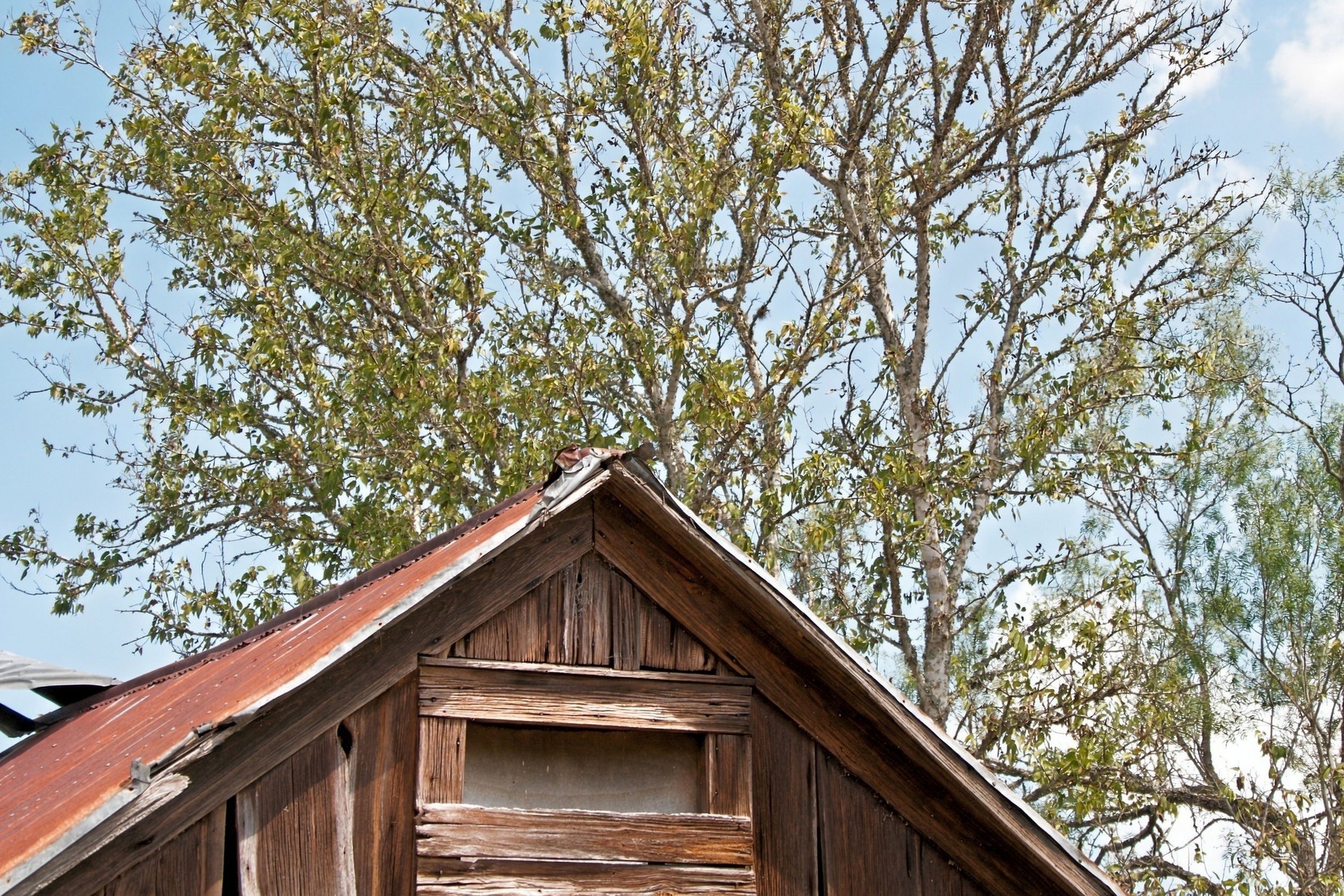  186+/- Acre Post Oak Hill Ranch - 物件實景