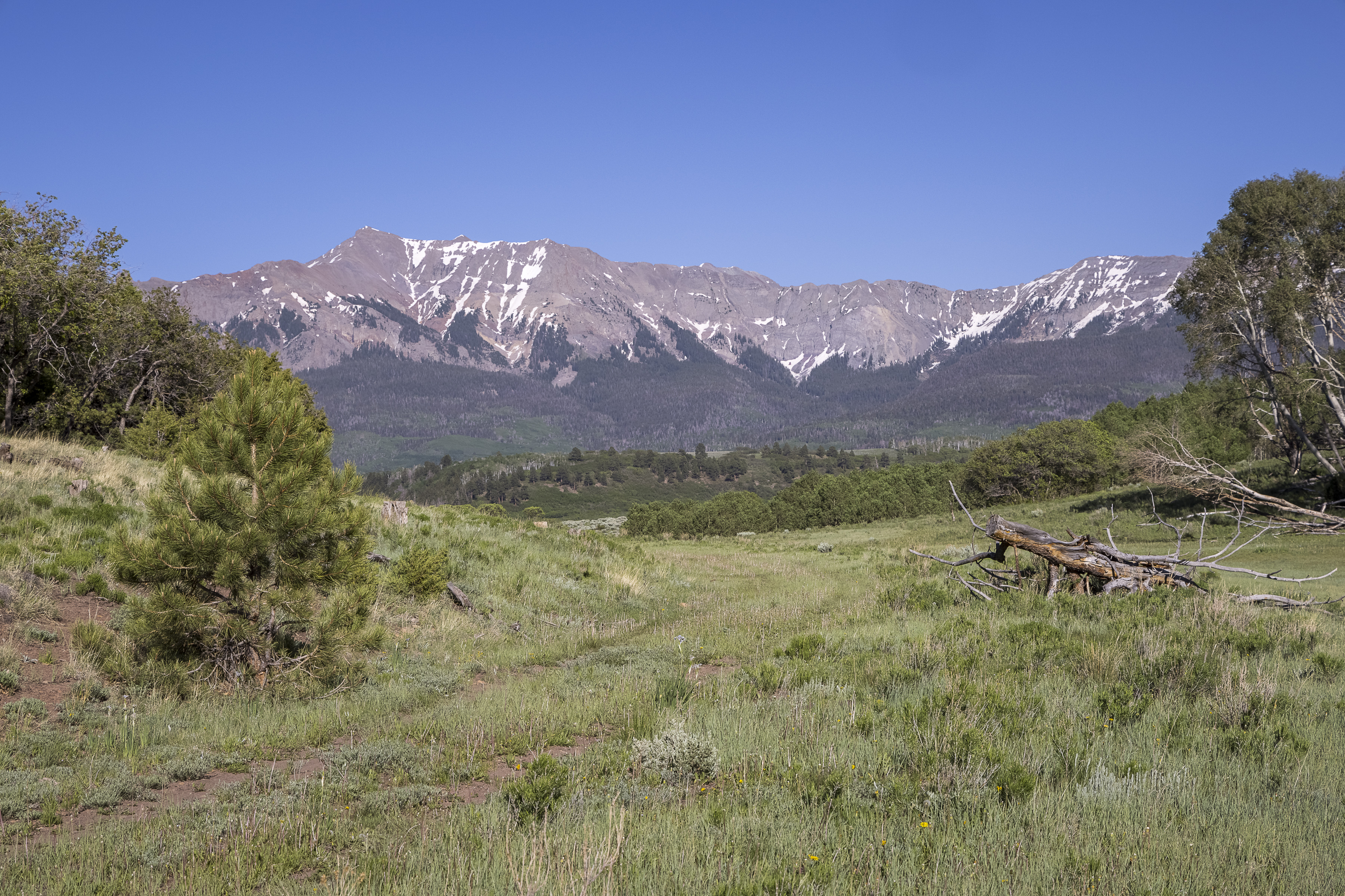  Telluride Renegade Ranch - 602 acres on Hastings Mesa - 物件實景