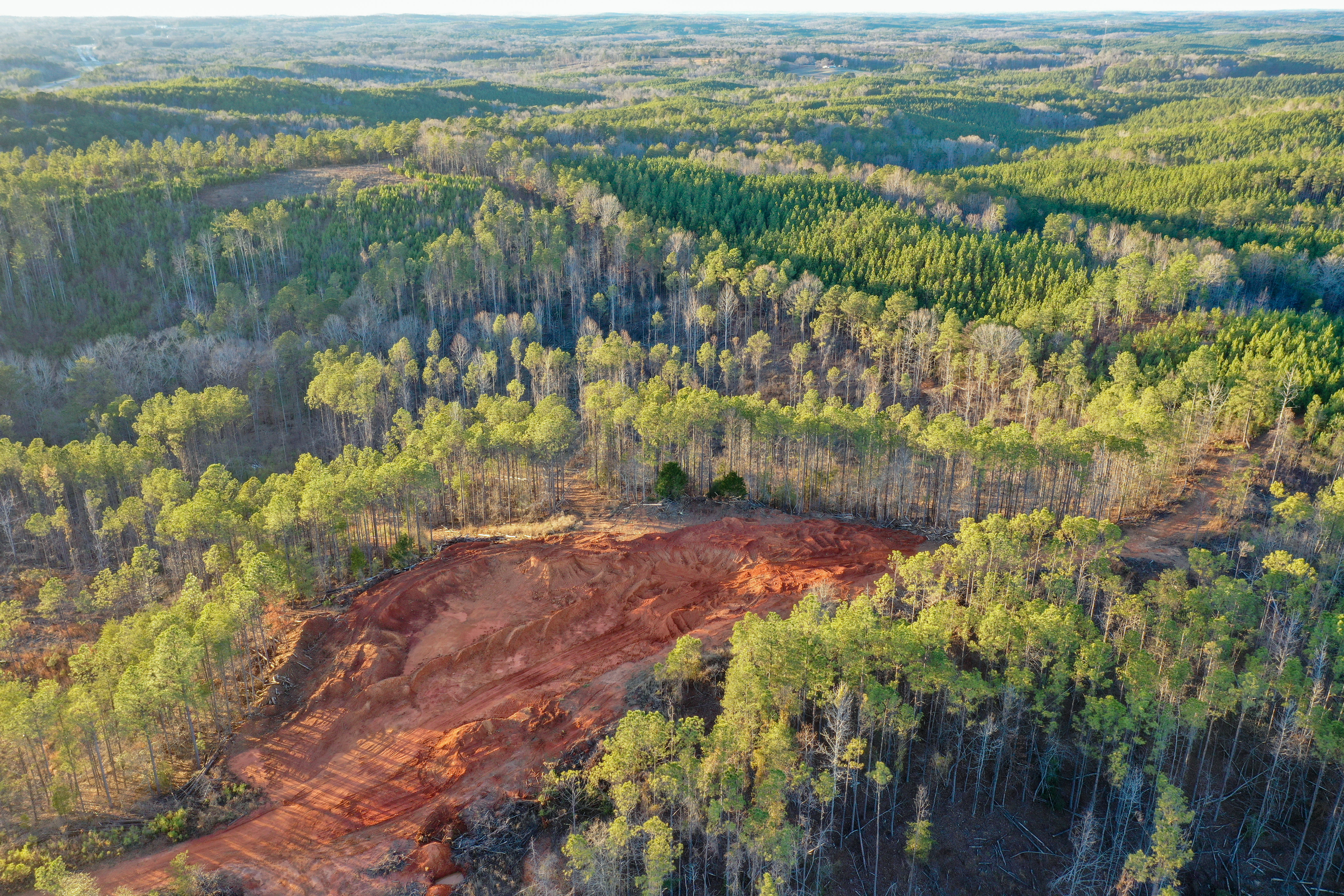 Centreville, Alabama, 35042, United States, ,Land,For Sale,2010430