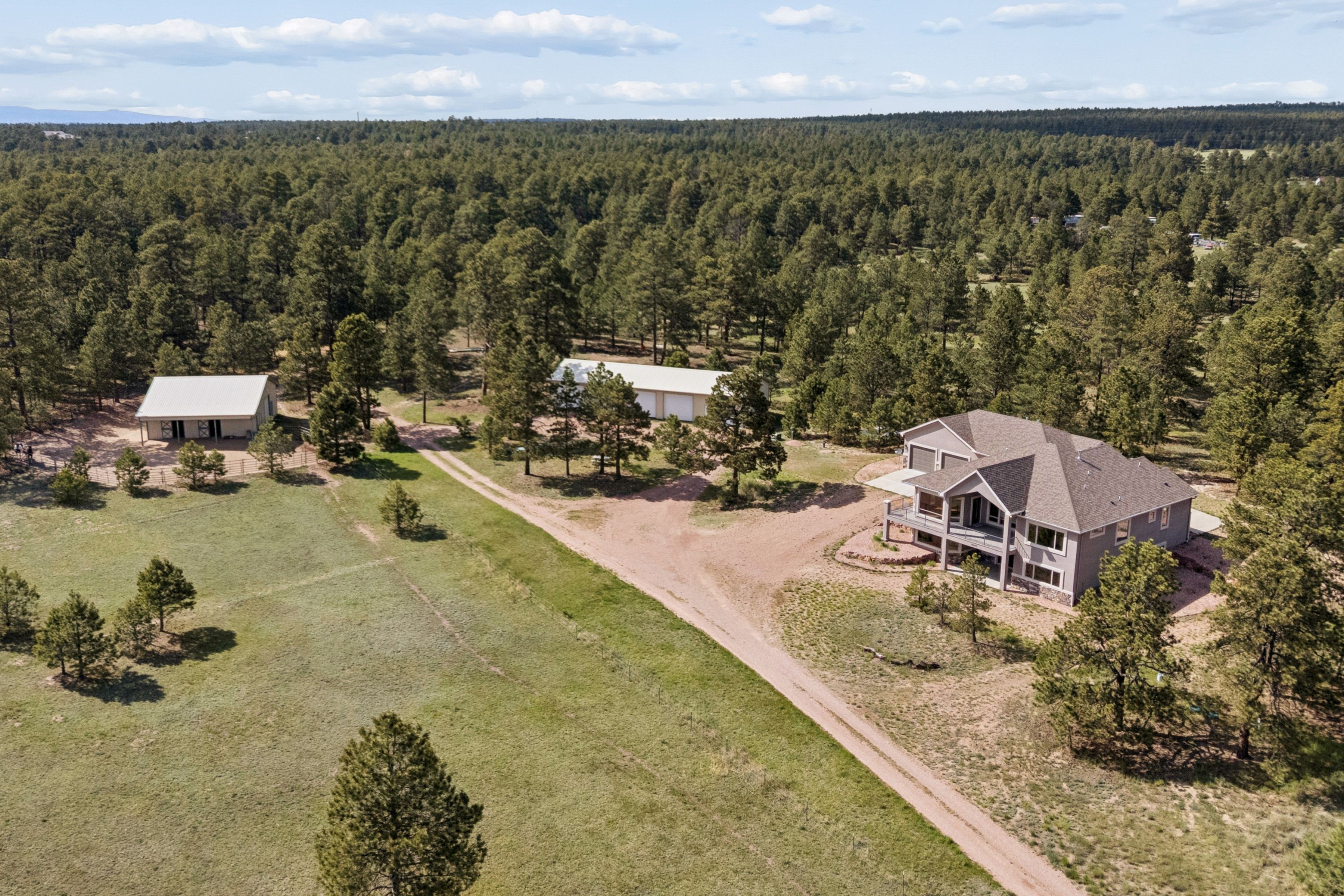  Rare and unique south Black Forest estate nestled on 37 acres - 物件實景