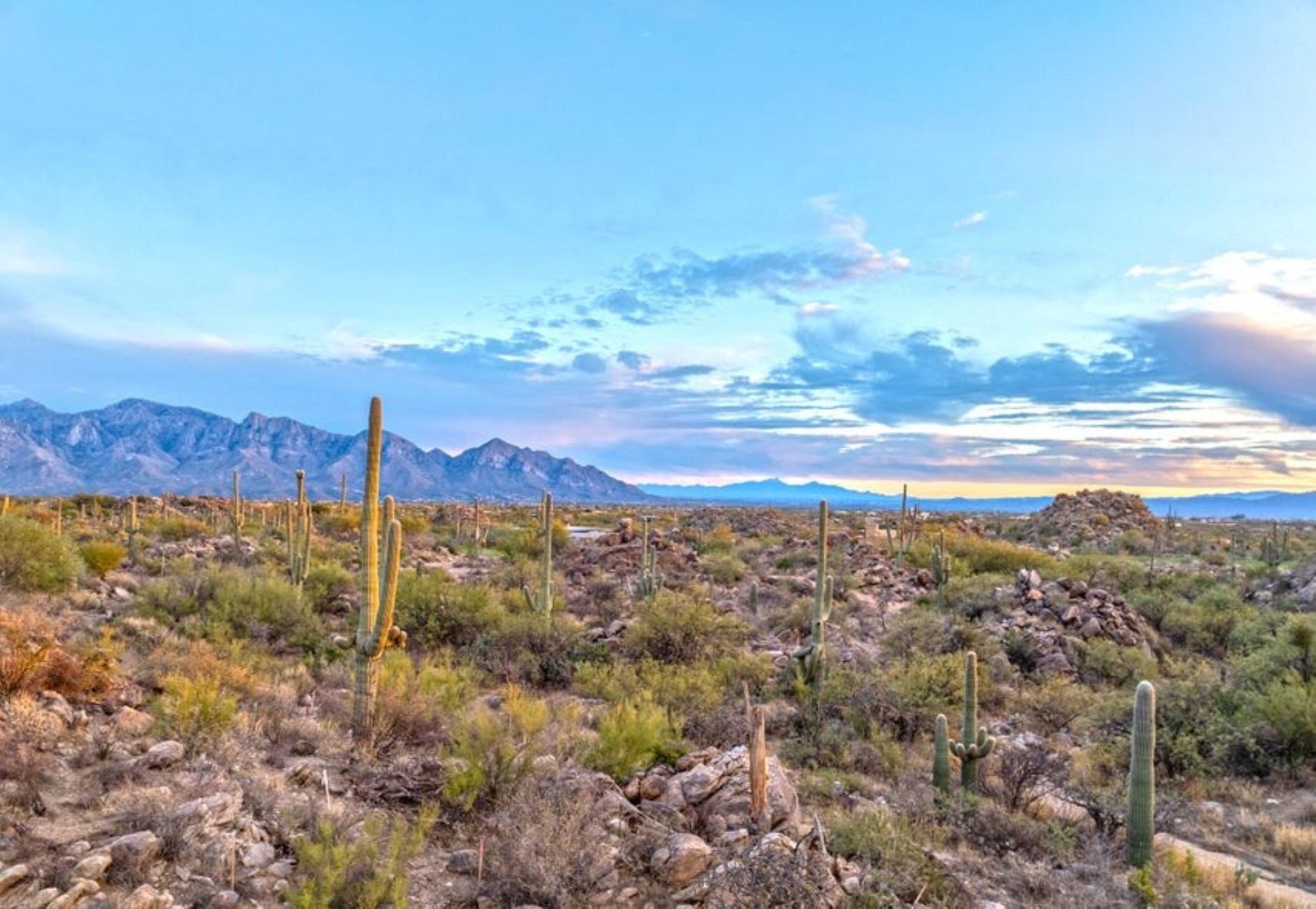  1178 Tortolita Mountain Circle 196¦Oro Valley, AZ - 物件實景