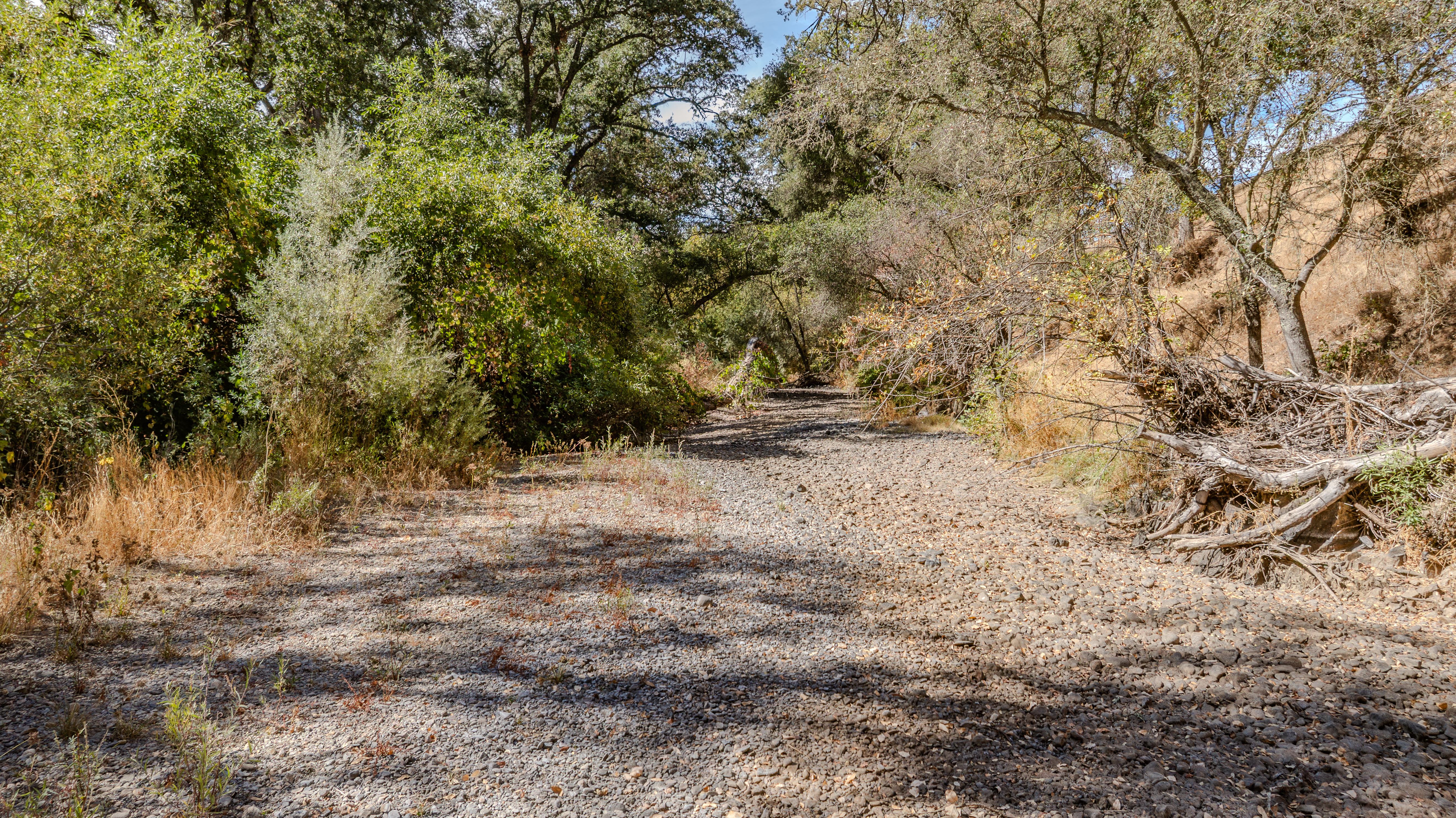  Creek Frontage - Views - Stroll to Downtown Sutter Creek - 物件實景