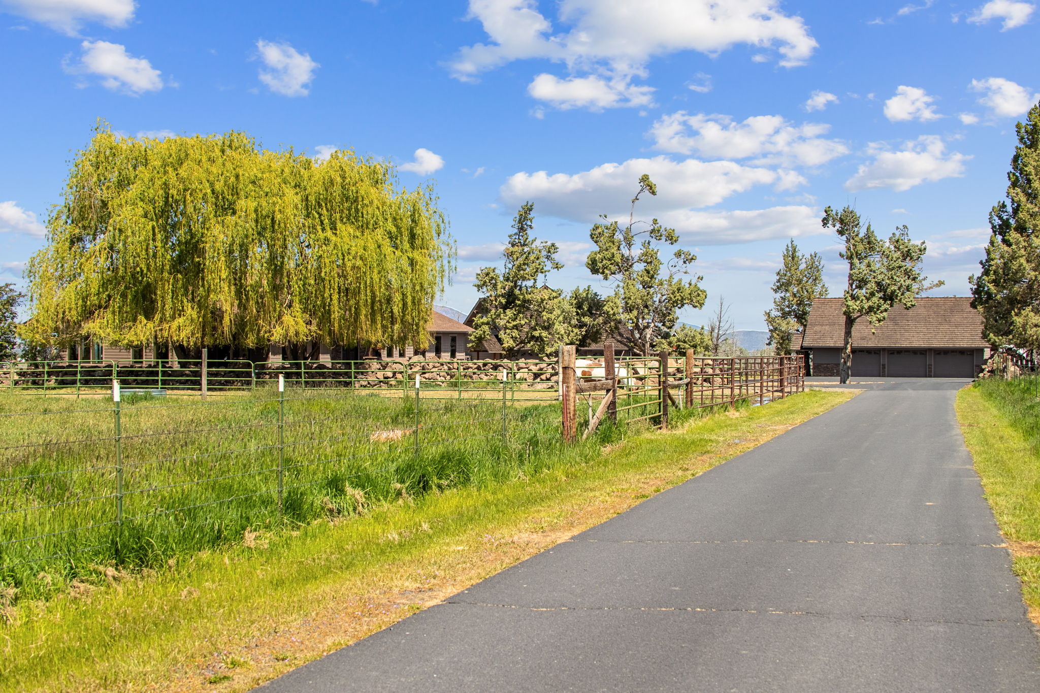 13501 SW Riggs Rd., Powell Butte, Oregon, 97753, United States, 3 Bedrooms Bedrooms, ,4 BathroomsBathrooms,Farm And Agriculture,For Sale,13501 SW Riggs Rd.,1623020