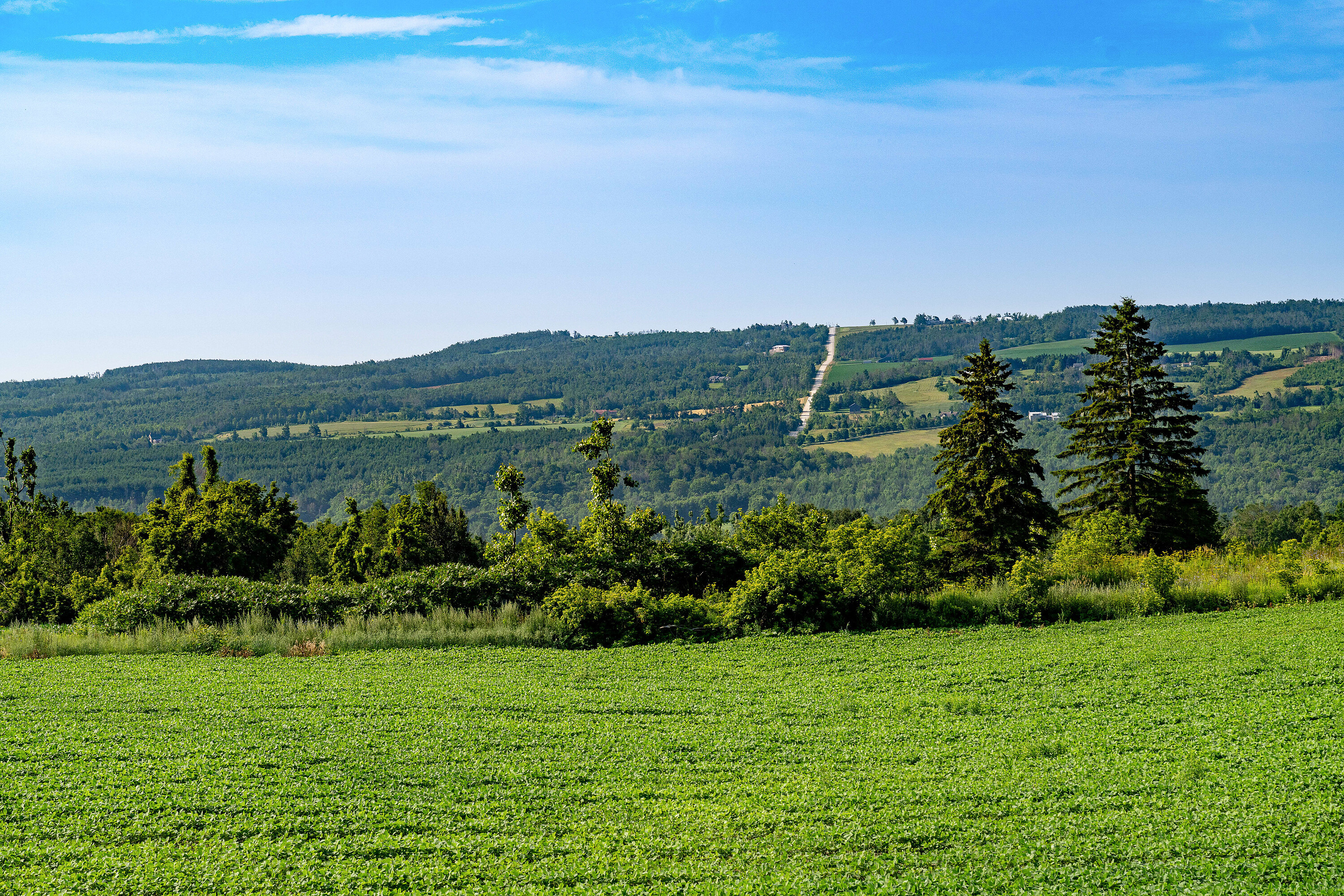  Big Views in Creemore - 物件實景