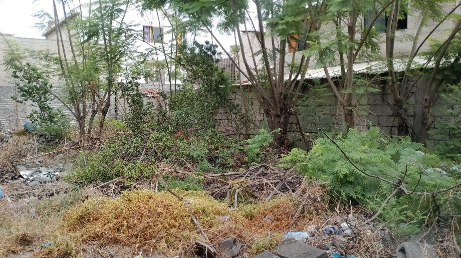 Gustavo A. Madero, Ciudad de México, 07530, Mexico, 1 Bedroom Bedrooms, ,Residential,For Sale,1994709