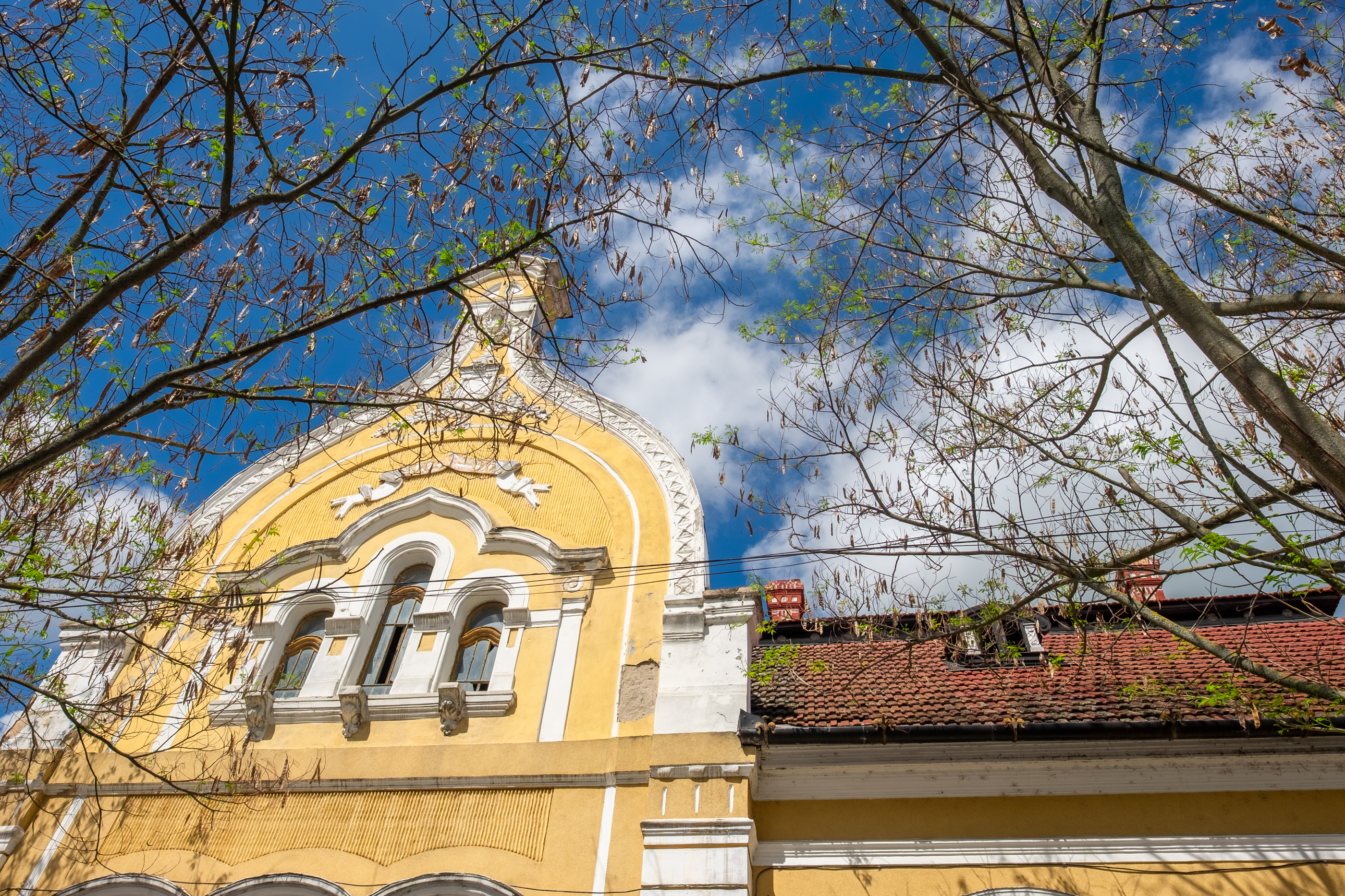  Ferch Manor - History and Tradition near Timioara - 物件實景