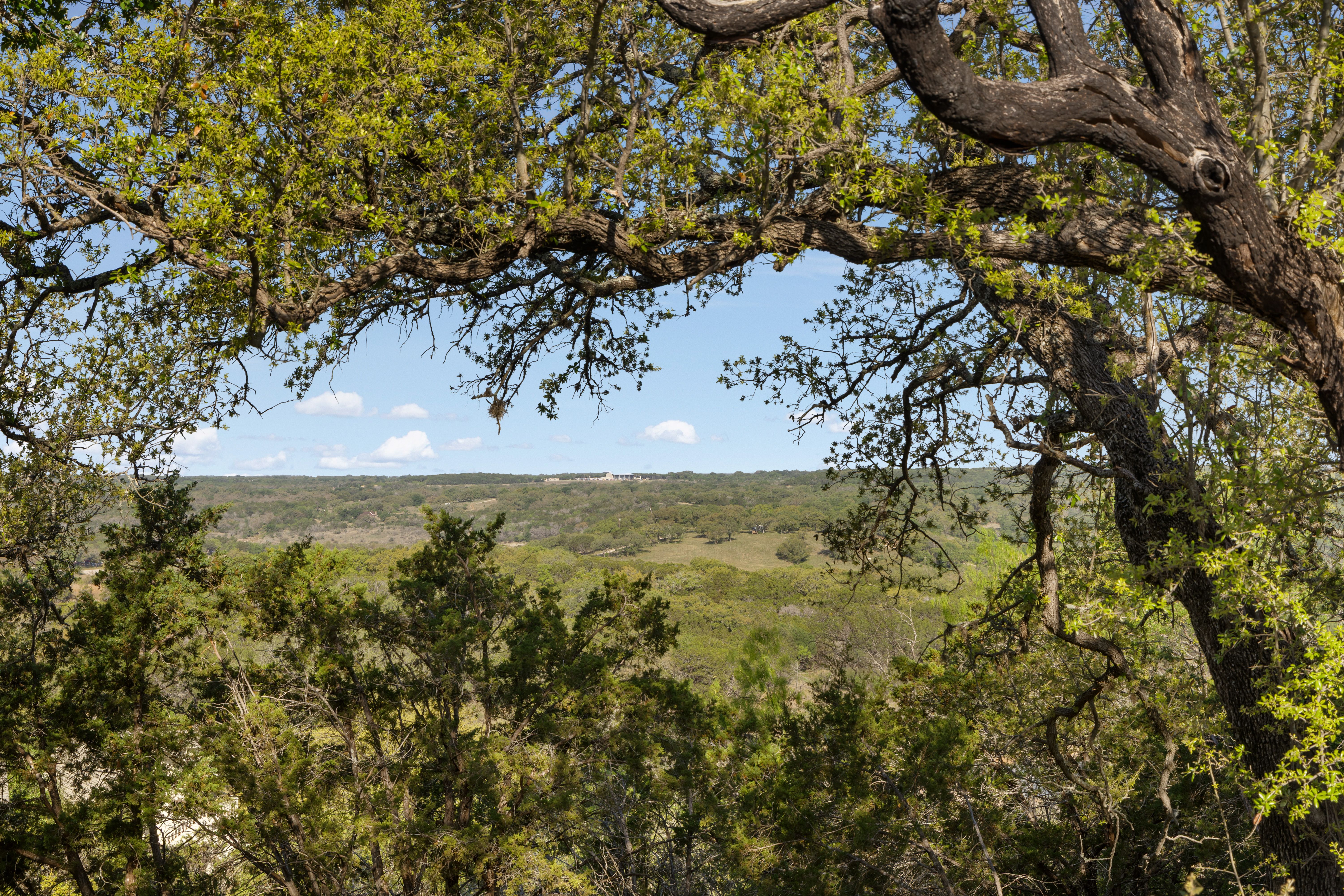  Beautiful Lake Travis Views - 物件實景