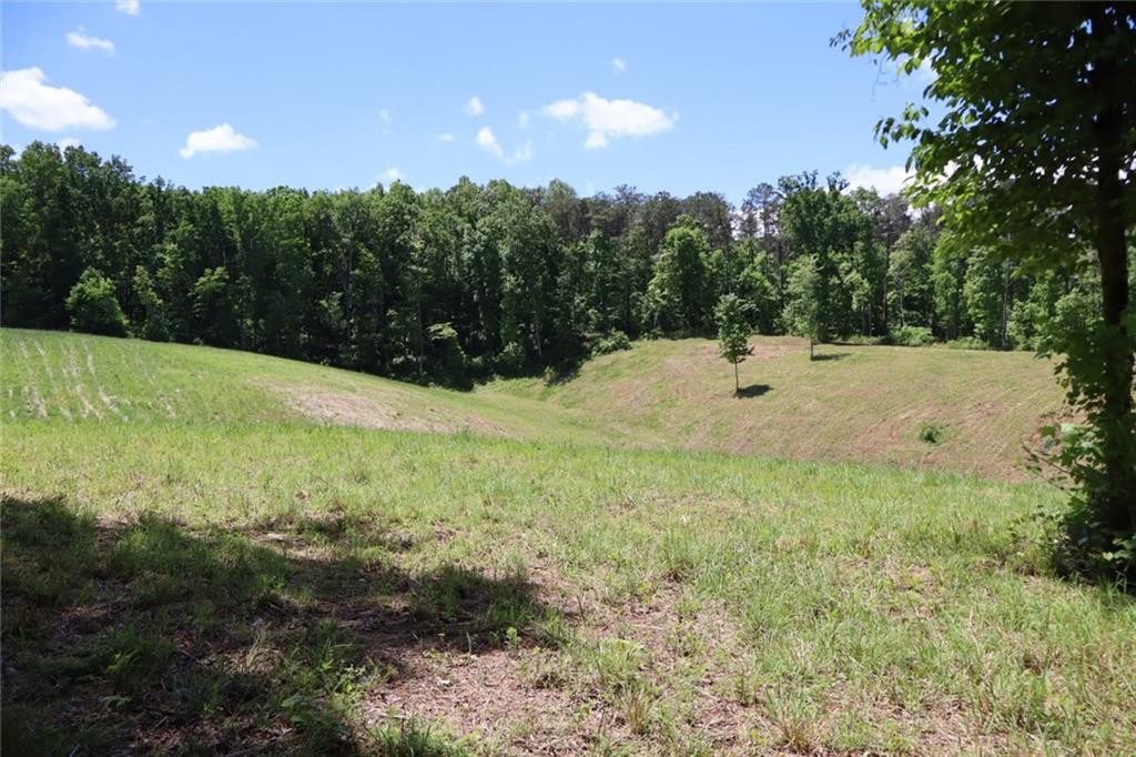 Ellijay, Georgia, 30540, United States, ,Residential,For Sale,1881390