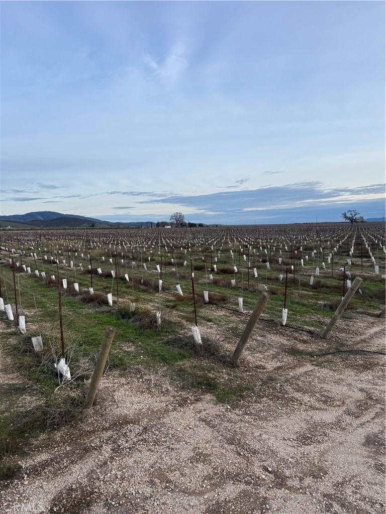 Lockwood, California, 93932, United States, ,Land,For Sale,2006086