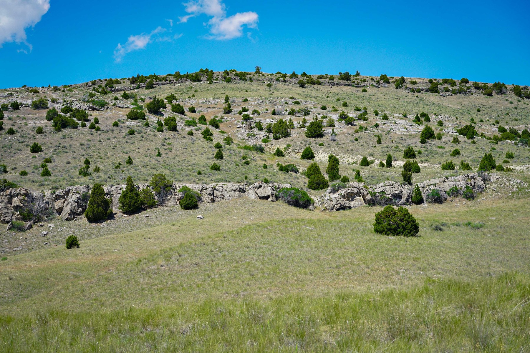  Lot 33 & 39 Gallatin River Ranch - 物件實景