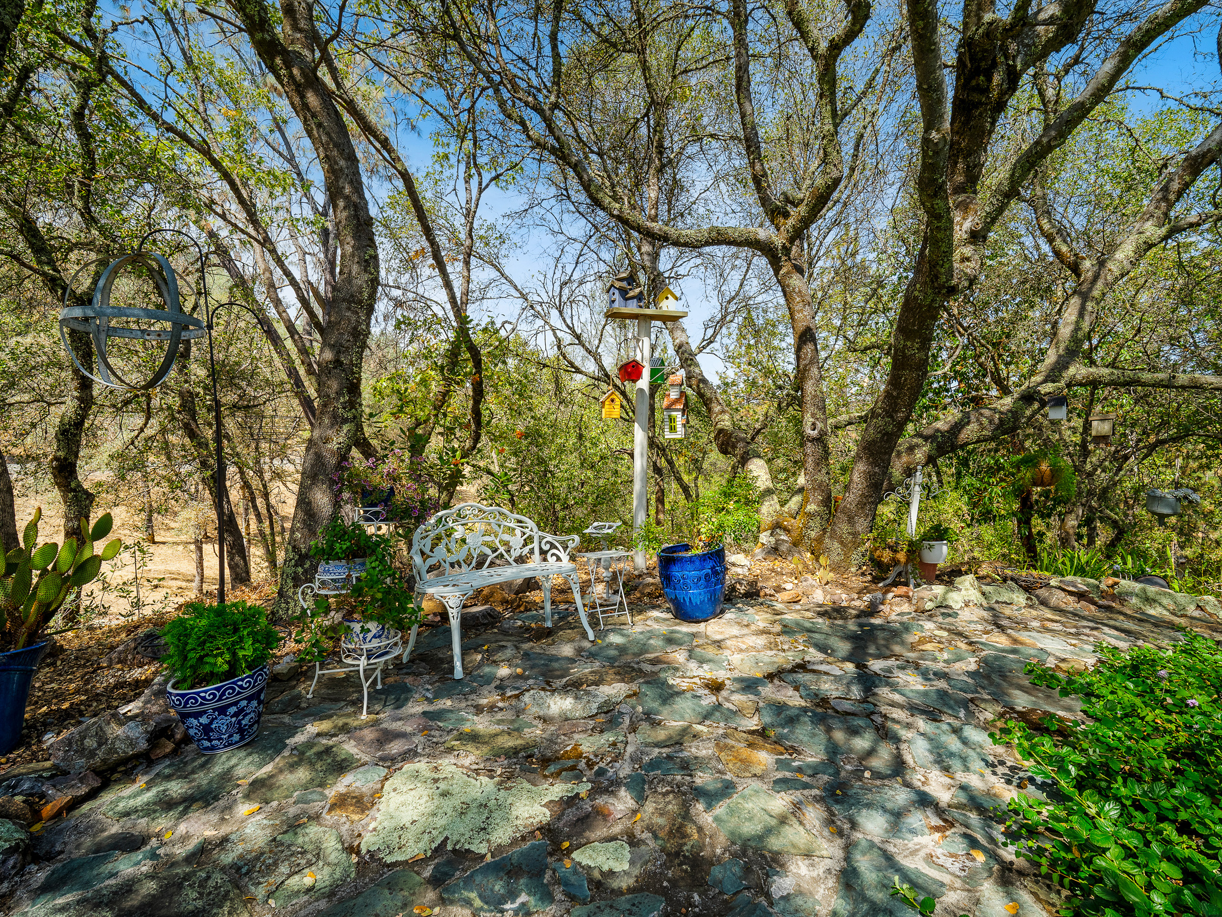  4711 Meadowview Acres Road, Cool, CA 95614 - 物件實景