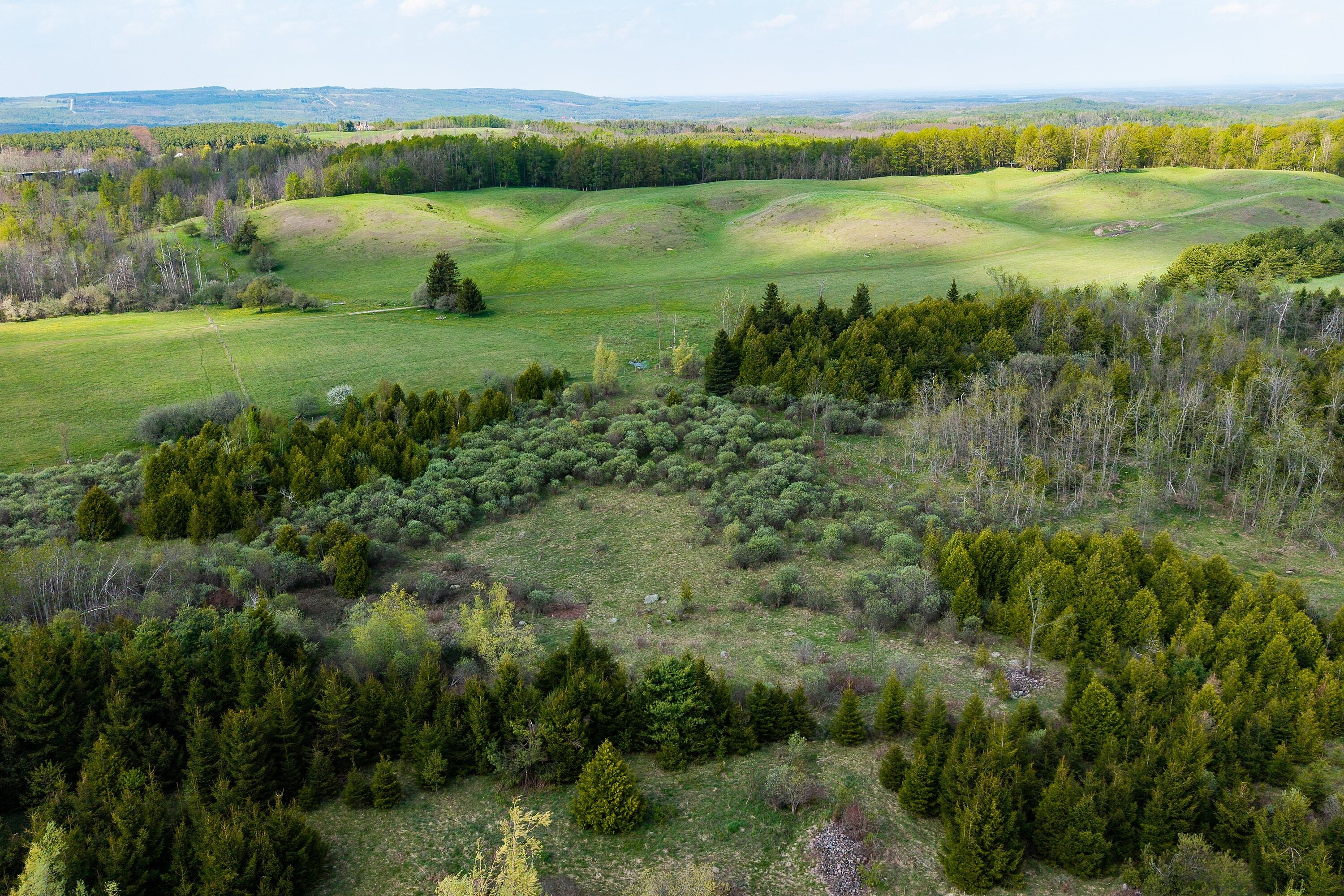  Private 50 acres in Mulmur - 物件實景
