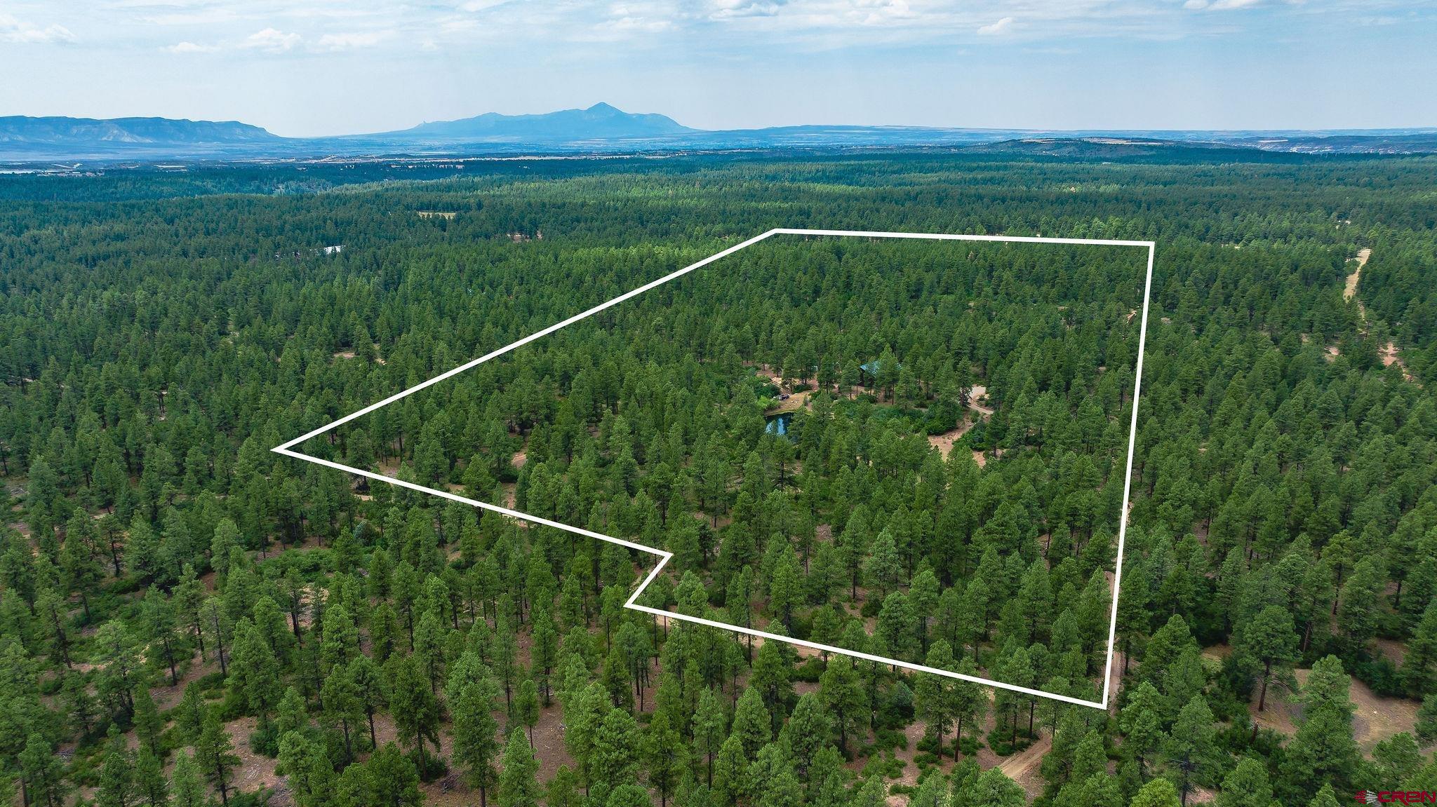 Mancos, Colorado, 81328, United States, 3 Bedrooms Bedrooms, ,4 BathroomsBathrooms,Residential,For Sale,1978860