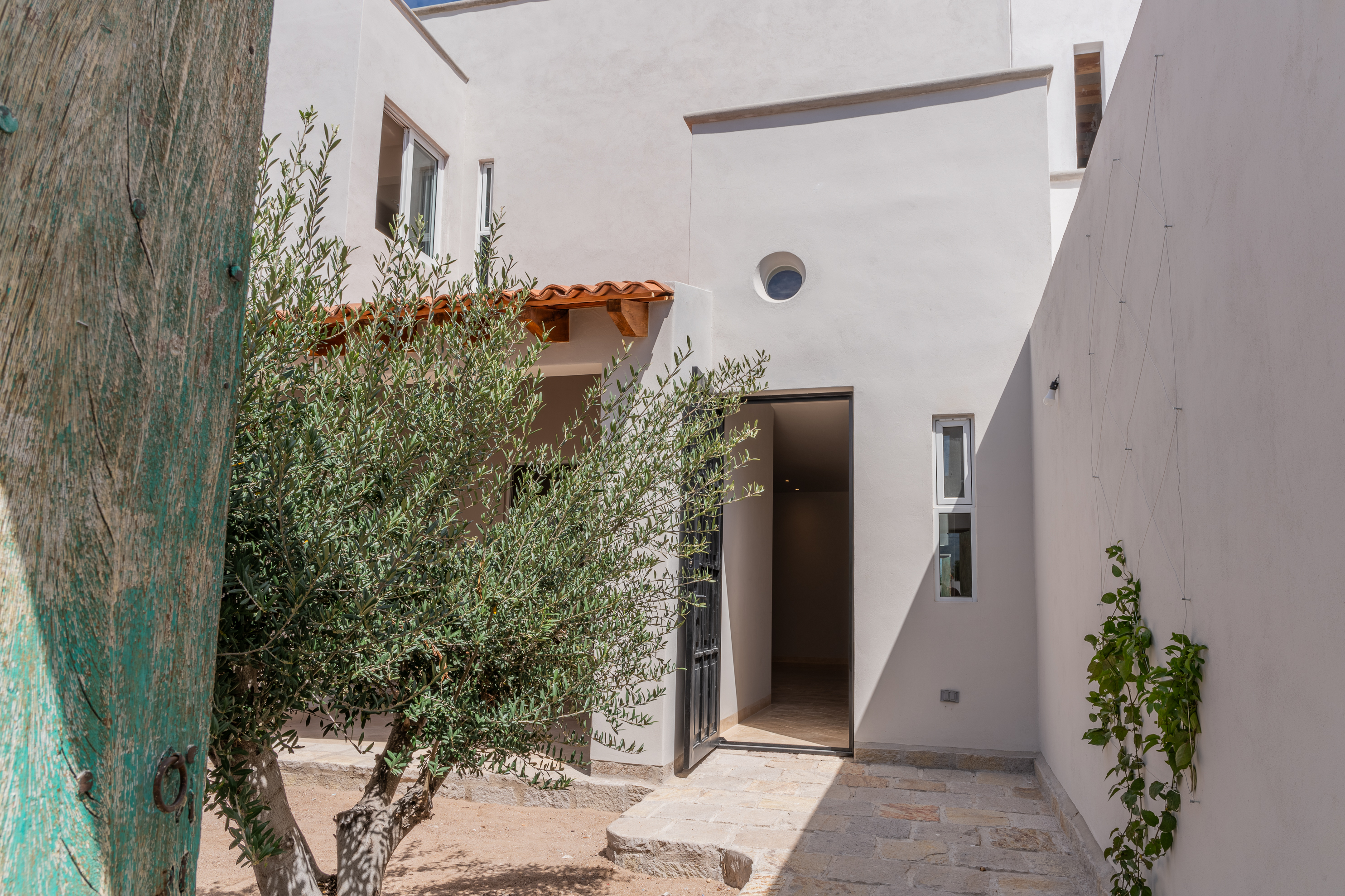  Cerrada Sabino  Casa Olivo - 物件實景