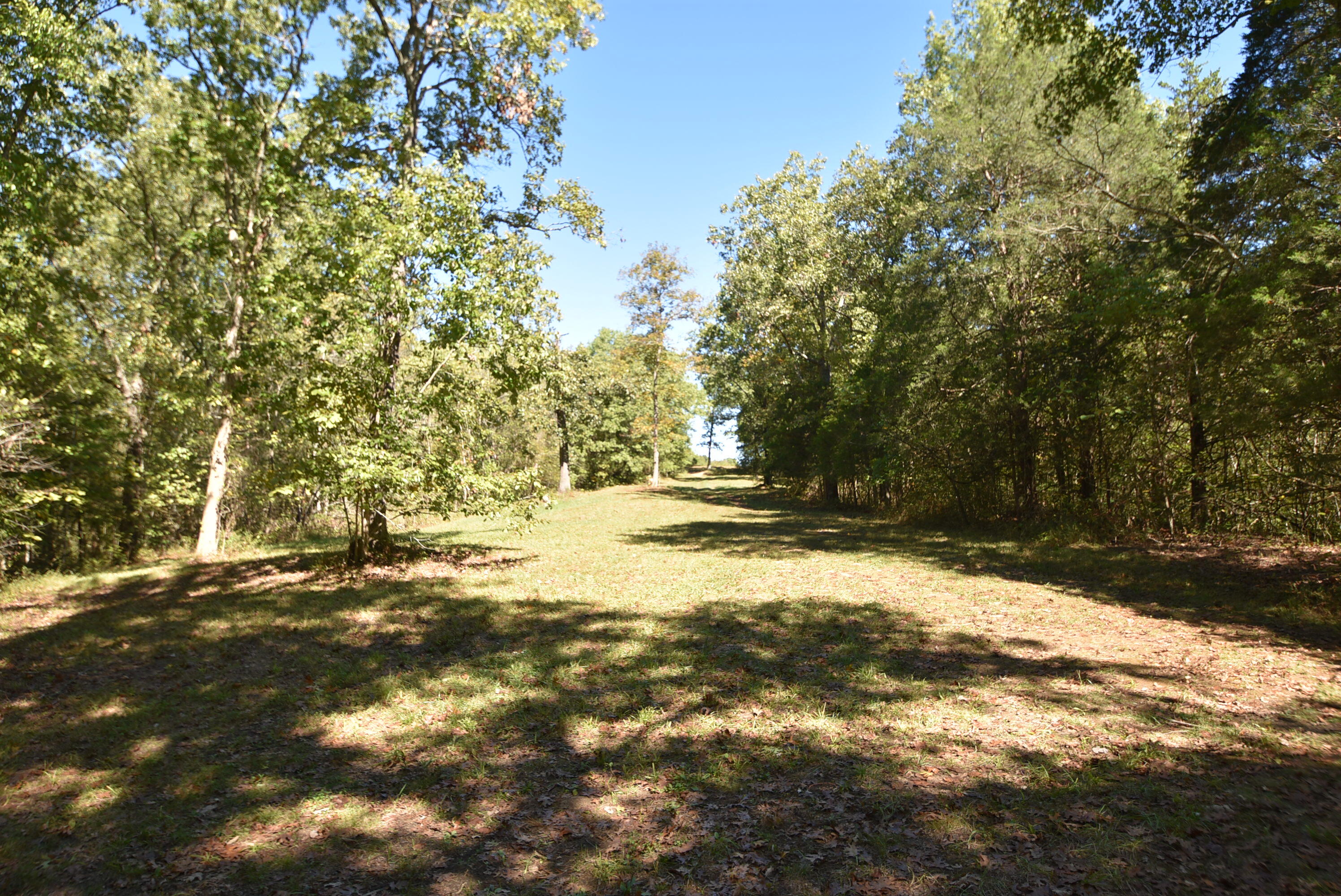 Willisburg, Kentucky, 40078, United States, 4 Bedrooms Bedrooms, ,1 BathroomBathrooms,Residential,For Sale,1962831