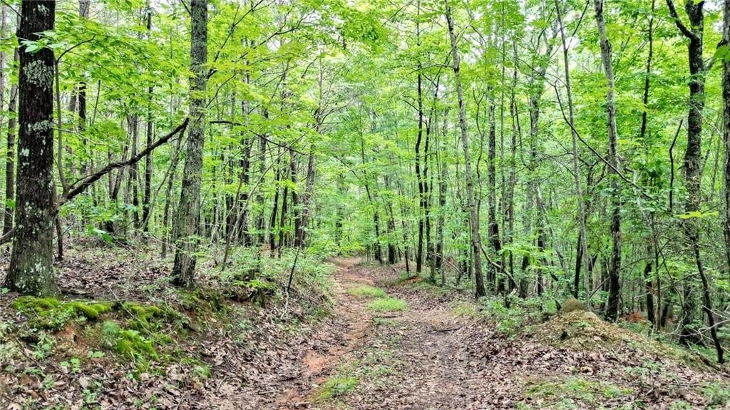 Jasper, Georgia, 30143, United States, ,Land,For Sale,1976881