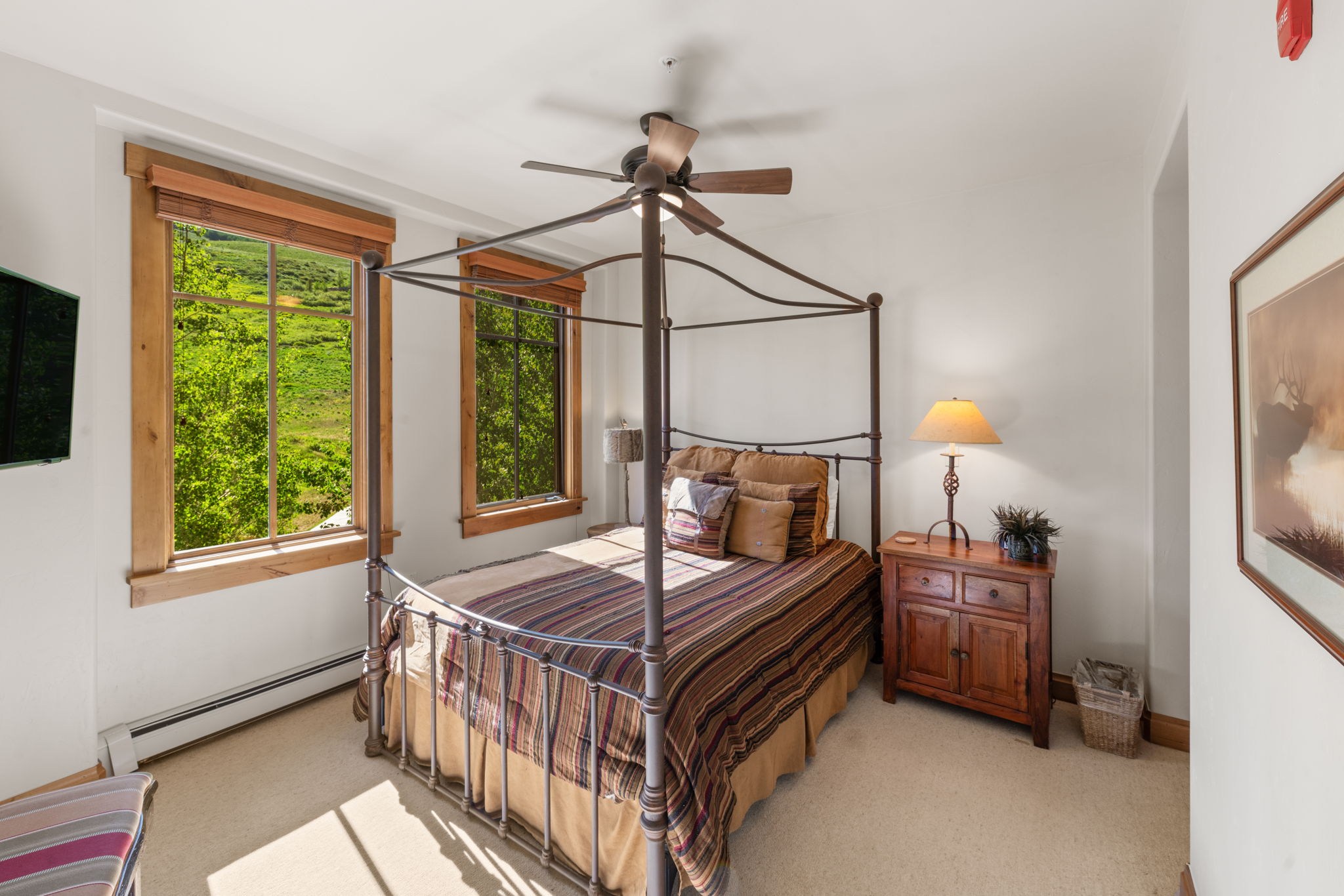  Slopeside Living at the Base of Crested Butte Mountain - 物件實景