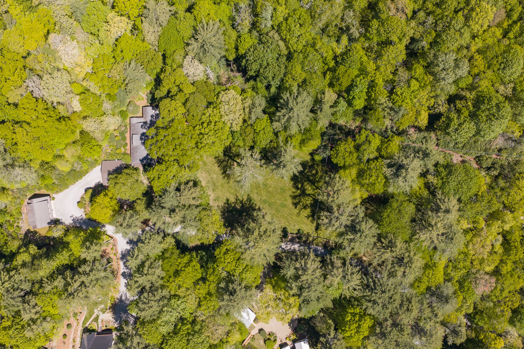  239 Hammond Road - 物件實景