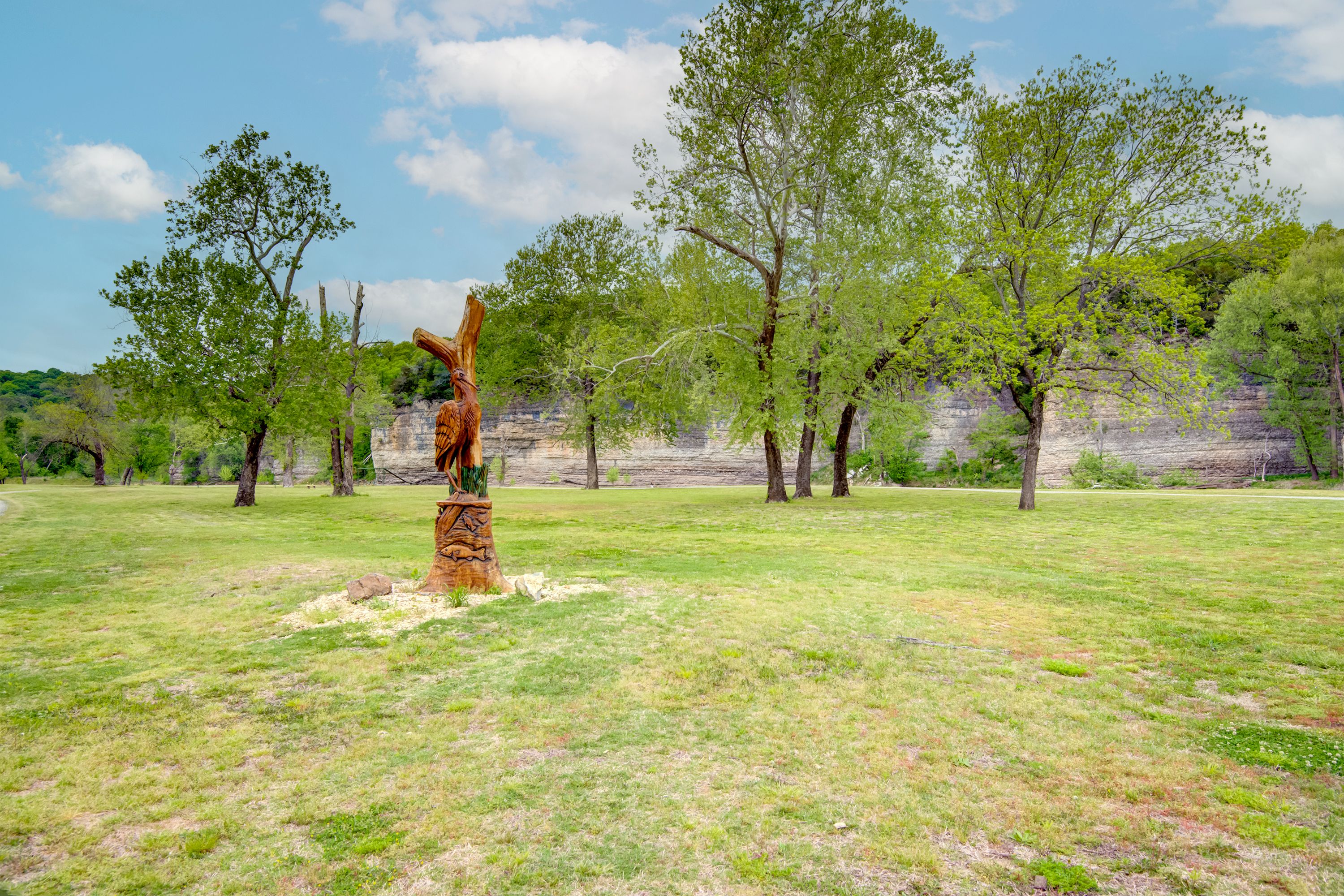  91 Crest Drive, Locust Grove, OK 74352 - 物件實景
