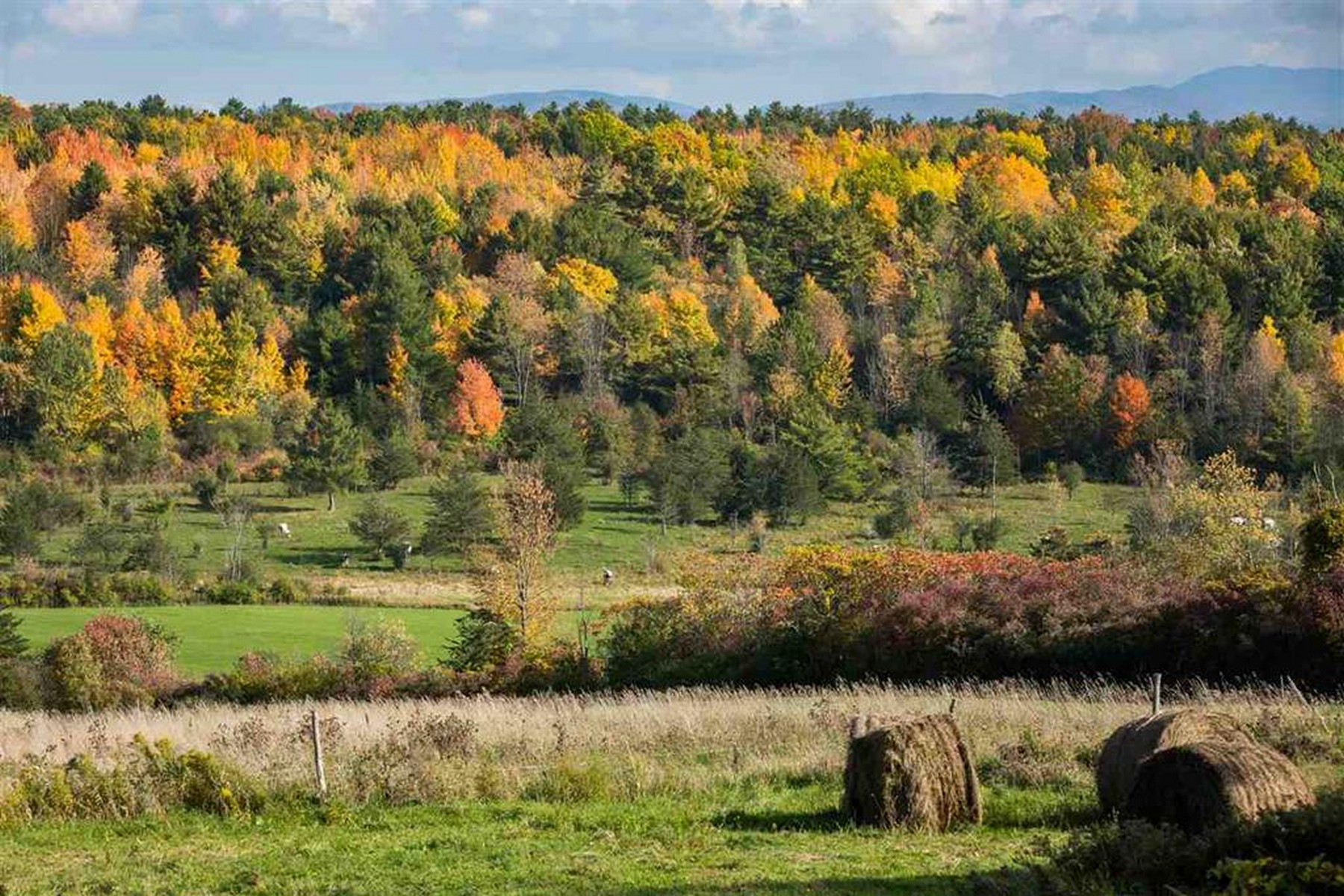  1555 Spear Street - 物件實景