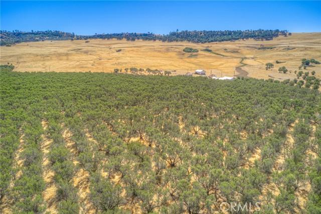 Oroville, California, 95965, United States, ,Land,For Sale,1978815