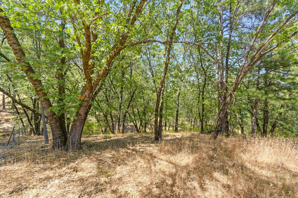 Applegate, California, 95703, United States, 3 Bedrooms Bedrooms, ,3 BathroomsBathrooms,Residential,For Sale,1912050