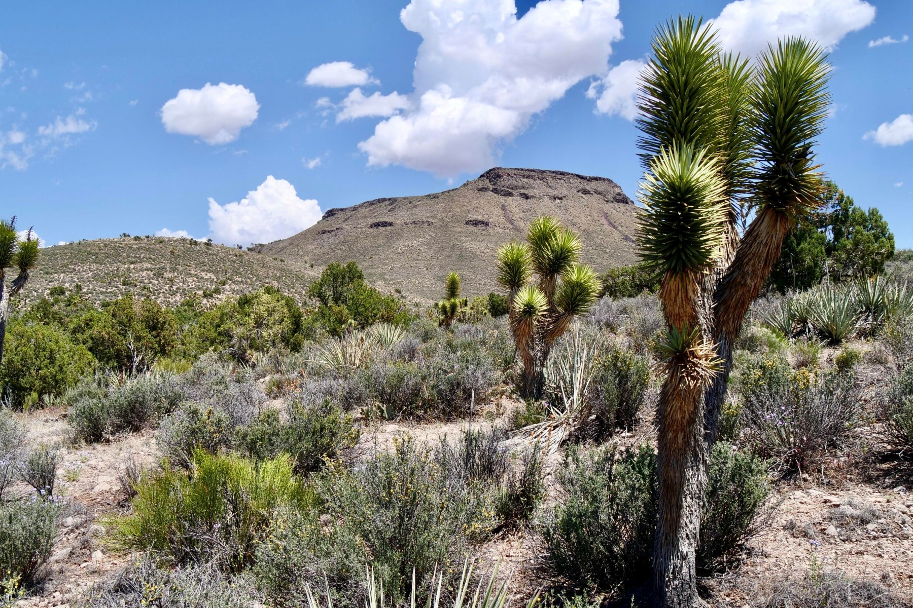  5838 E Diamond Bar Road ¦ Meadview, AZ - 物件實景