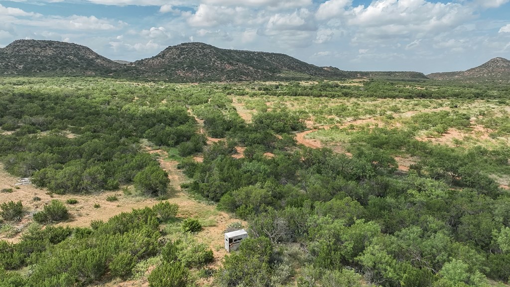 Tennyson, Texas, 76953, United States, ,Land,For Sale,1982007