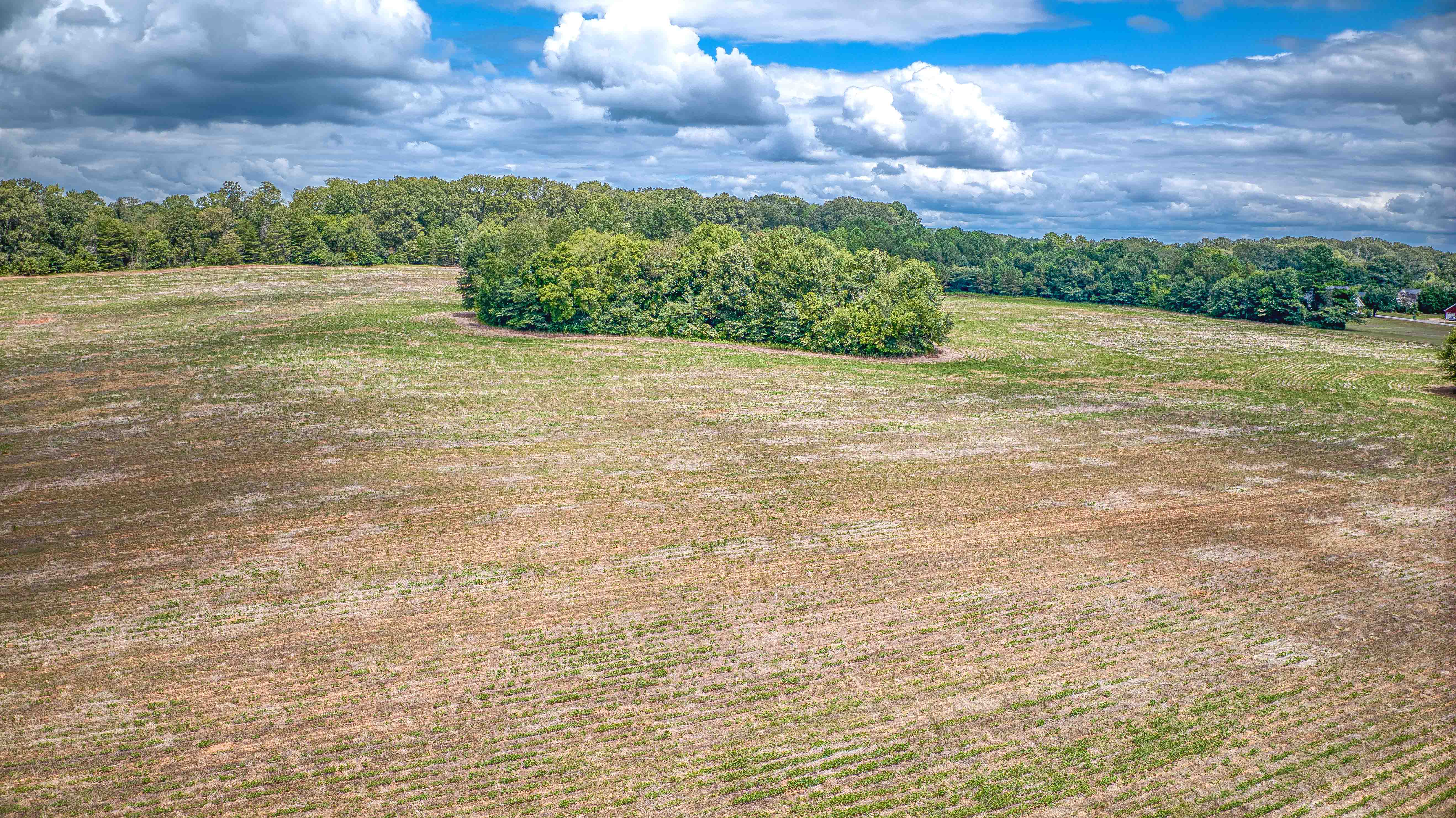 Tuscumbia, Alabama, 35674, United States, ,Land,For Sale,1976669