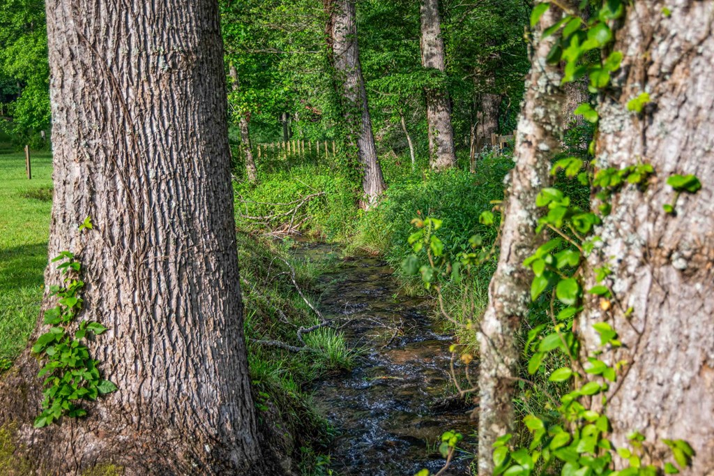 Blue Ridge, Georgia, 30513, United States, 3 Bedrooms Bedrooms, ,3 BathroomsBathrooms,Residential,For Sale,1974409