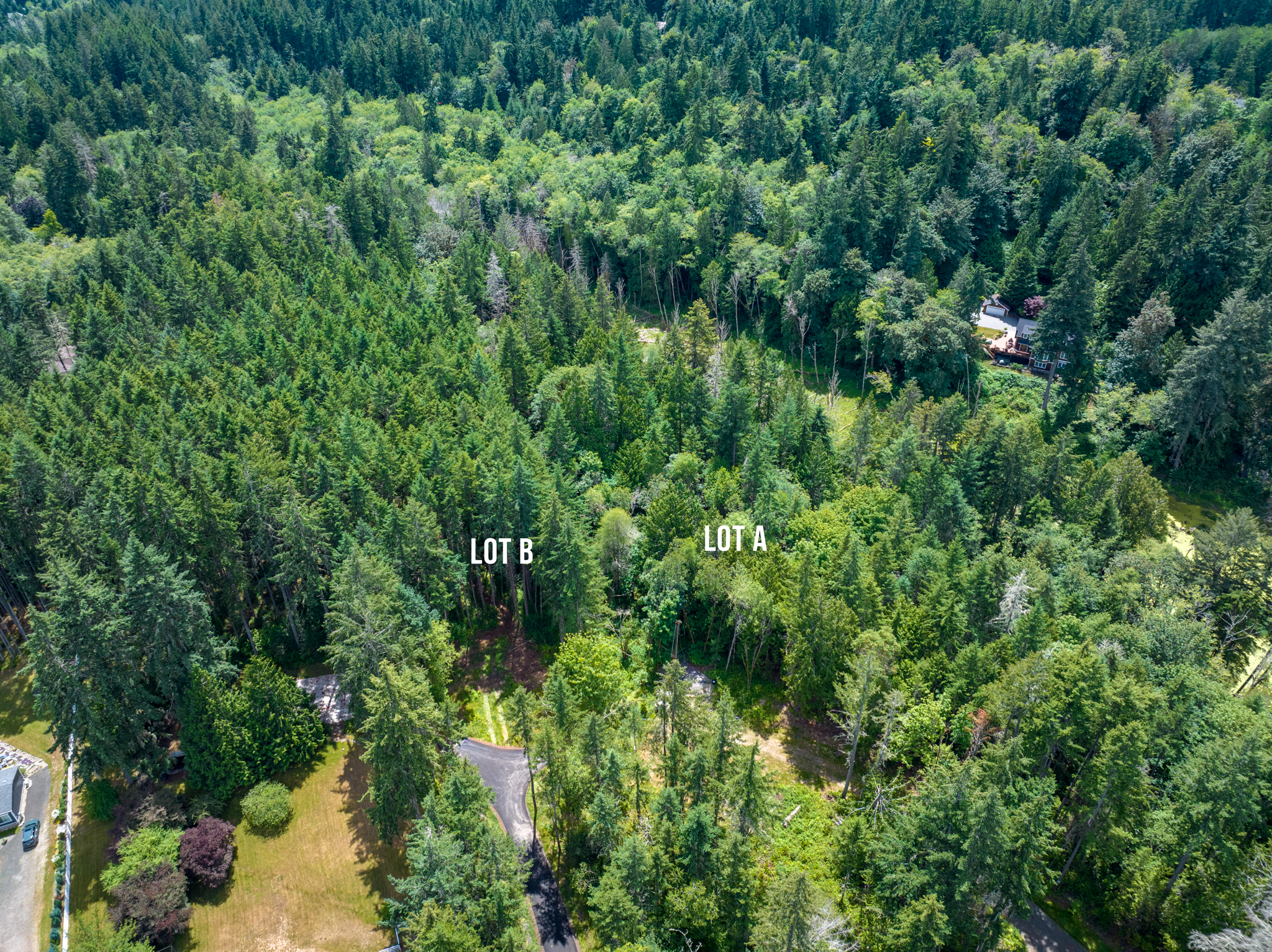  Lot B Bucsit Lane Northeast, Bainbridge Island, WA 98110 - 物件實景