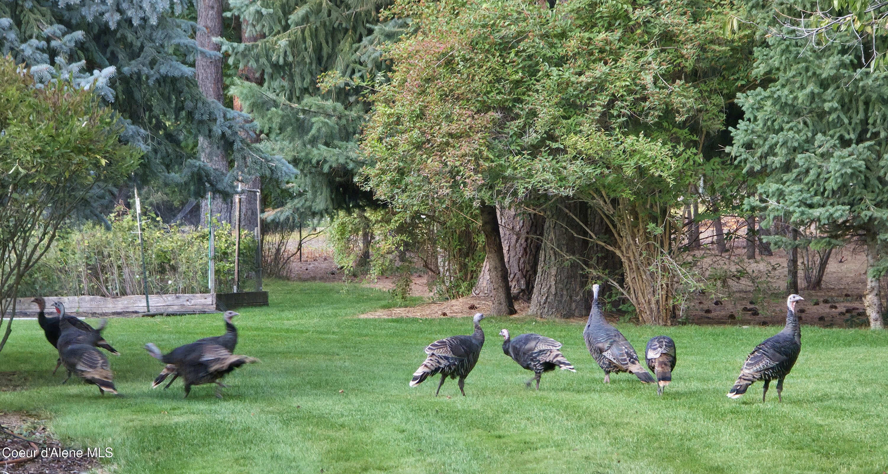 Hauser, Idaho, 83854, United States, 3 Bedrooms Bedrooms, ,3 BathroomsBathrooms,Residential,For Sale,1974734