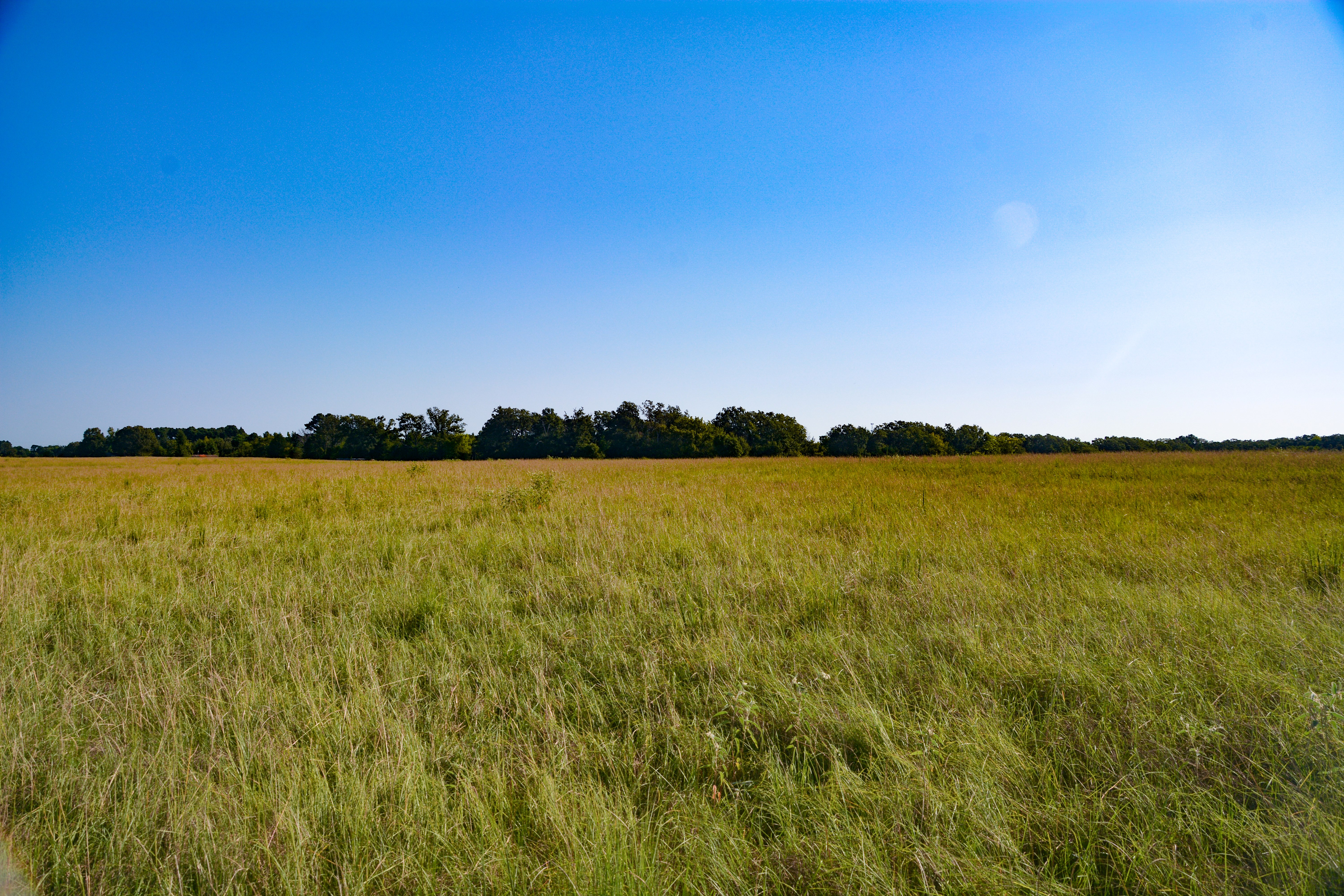 Grand Saline, Texas, 75140, United States, ,Residential,For Sale,1936963