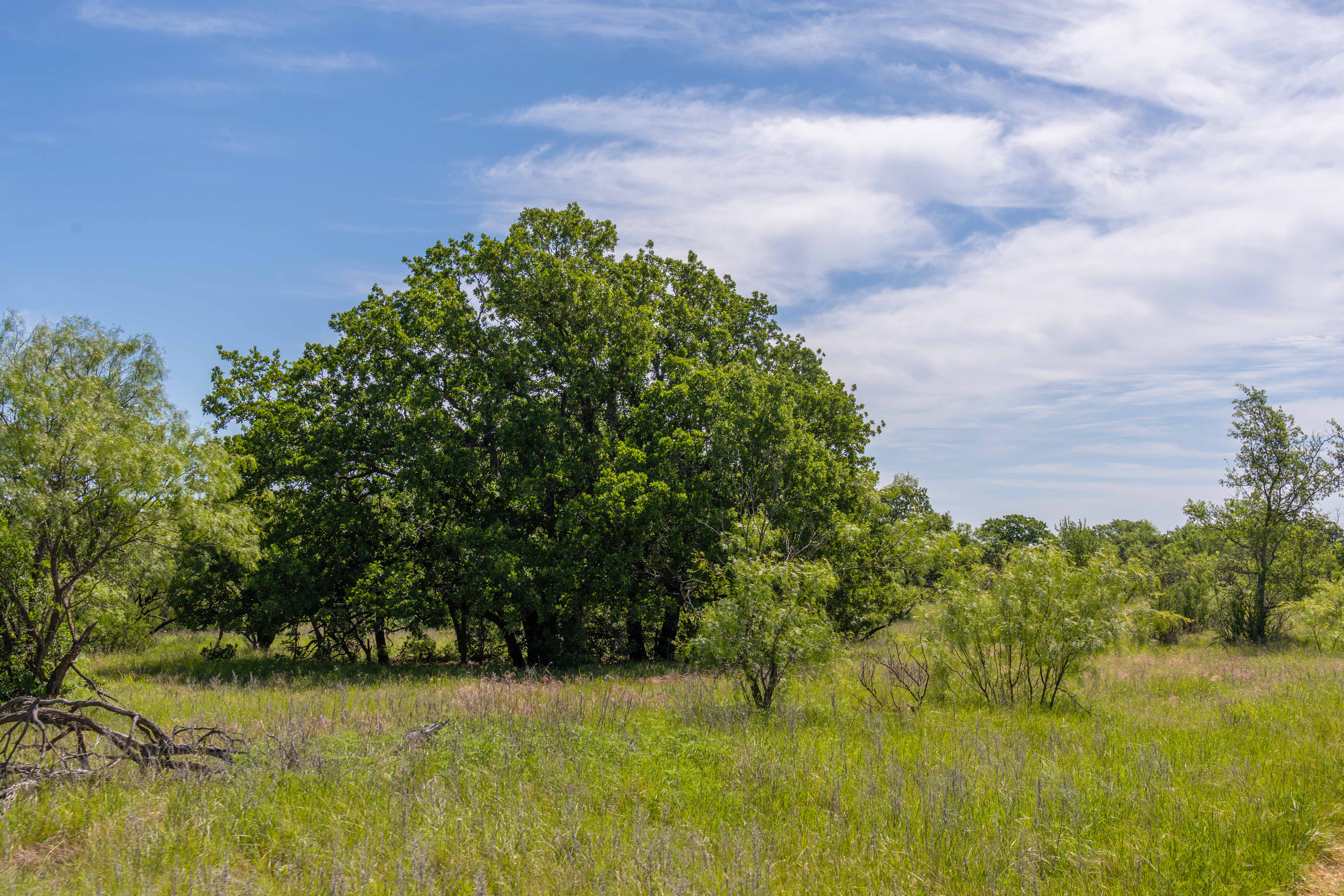  7582 Fm 2652, Loving, TX, 76460 - 物件實景