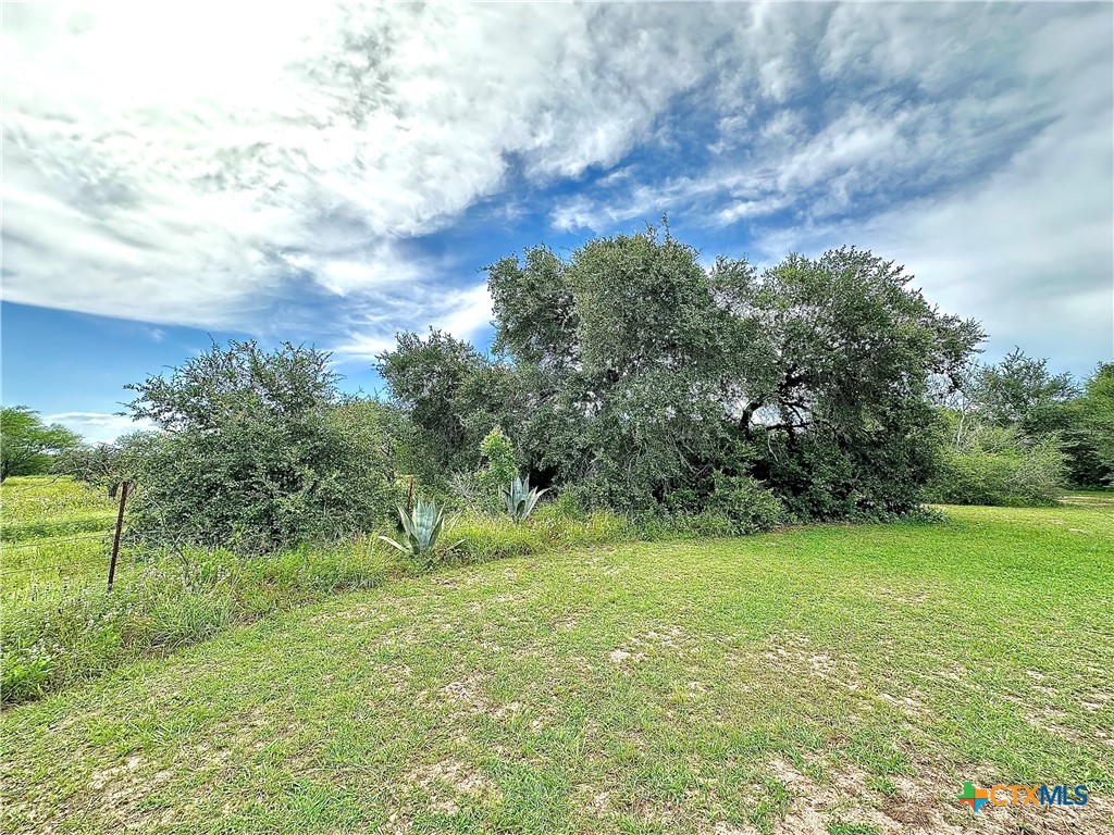 Nursery, Texas, 77976, United States, ,Land,For Sale,1885536