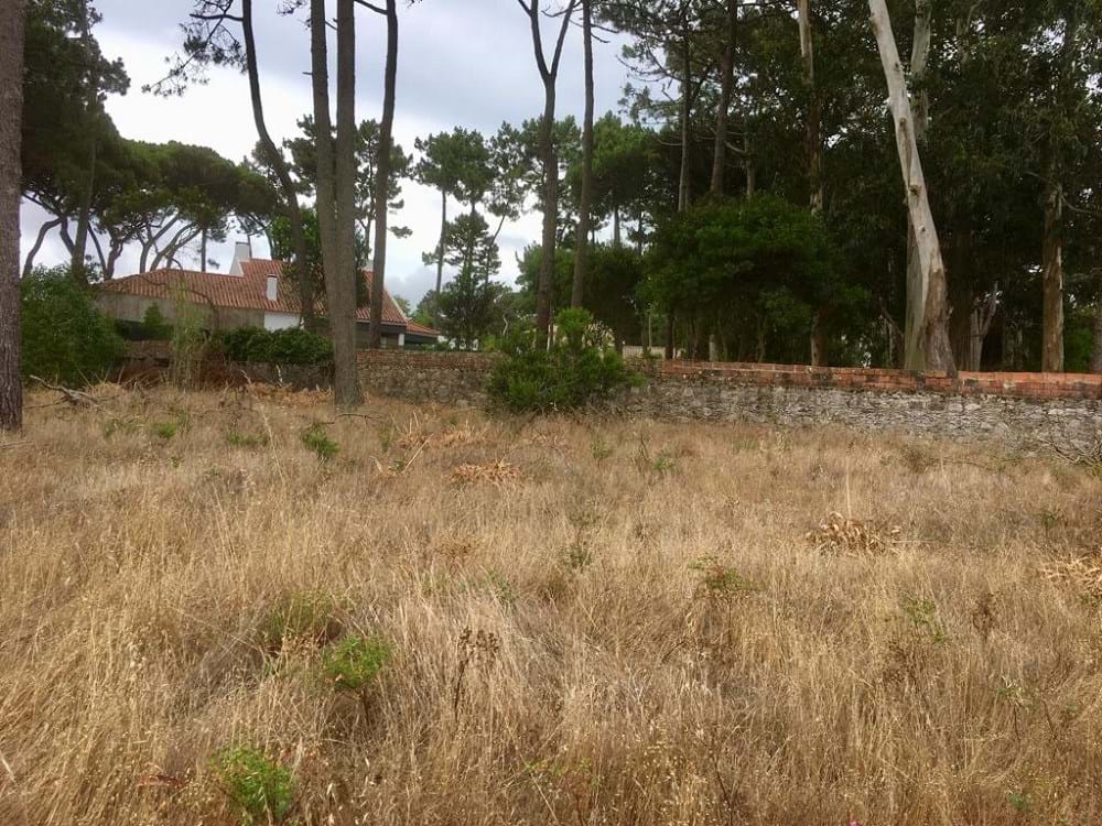 Sintra, Lisbon, 2705-645, PT, ,Land,For Sale,1698762
