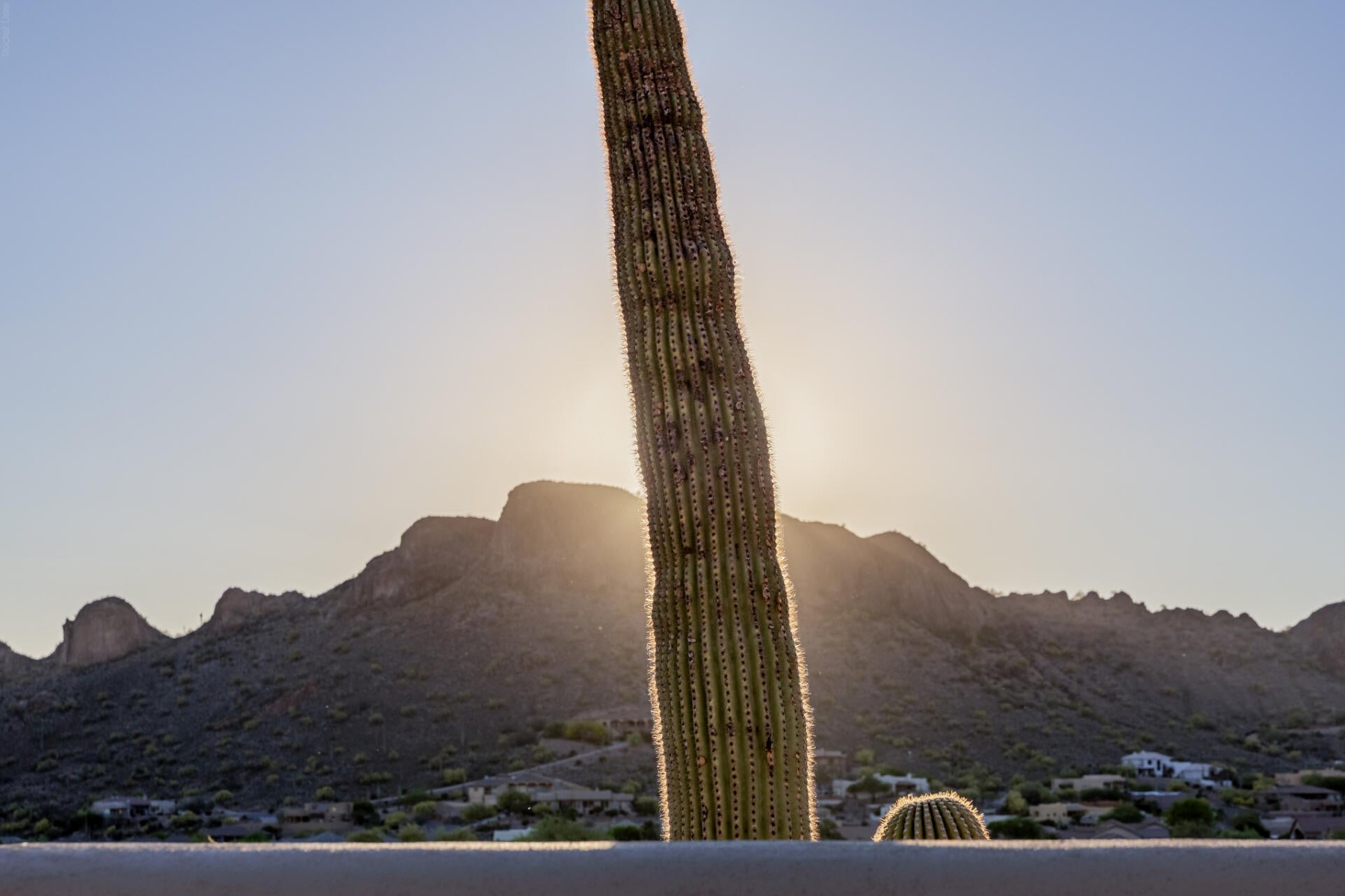  10761 E Calle Del Cascabel  Gold Canyon, AZ - 物件實景