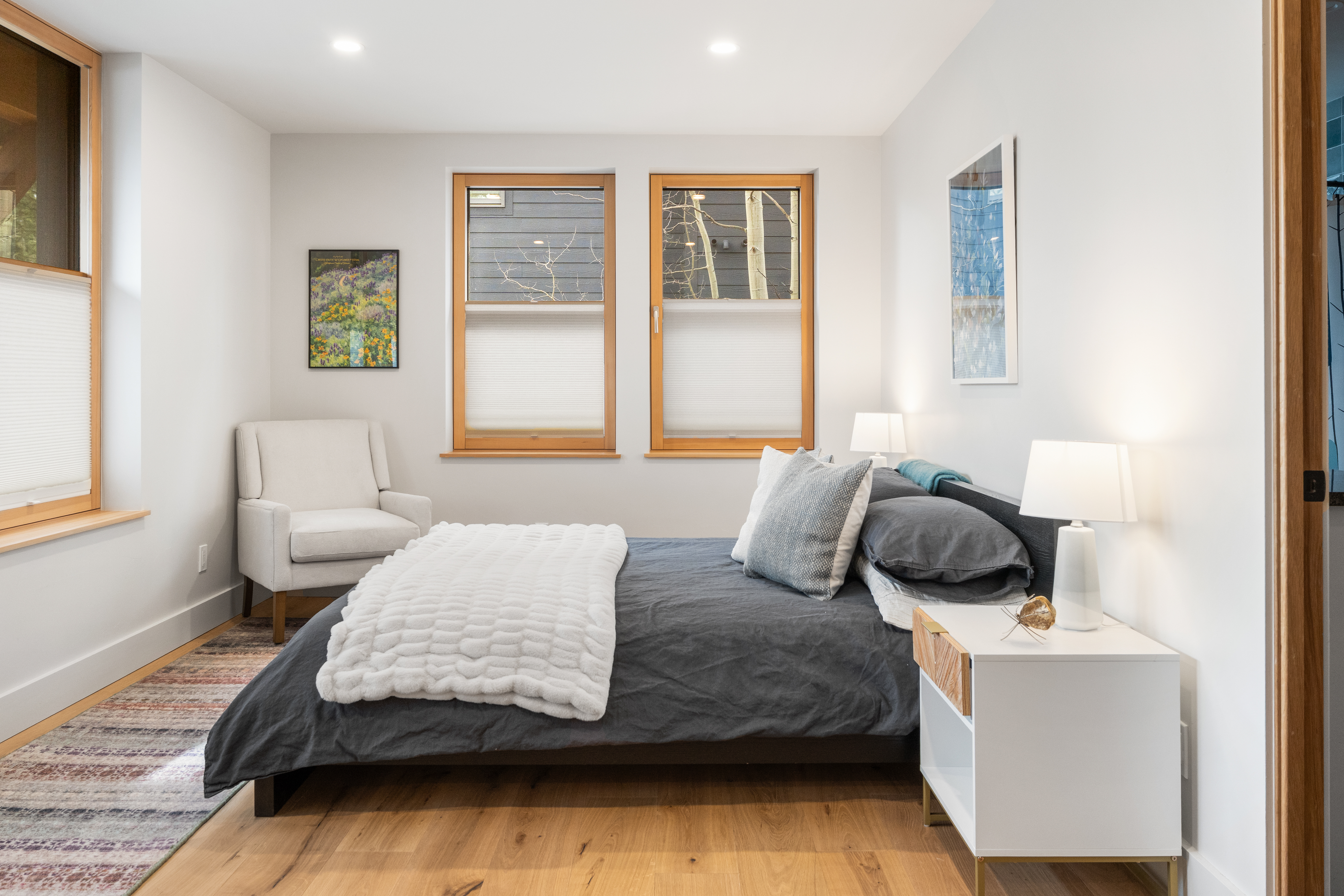 Cutting Edge Sustainable Construction with ADU in Crested Butte - 物件實景